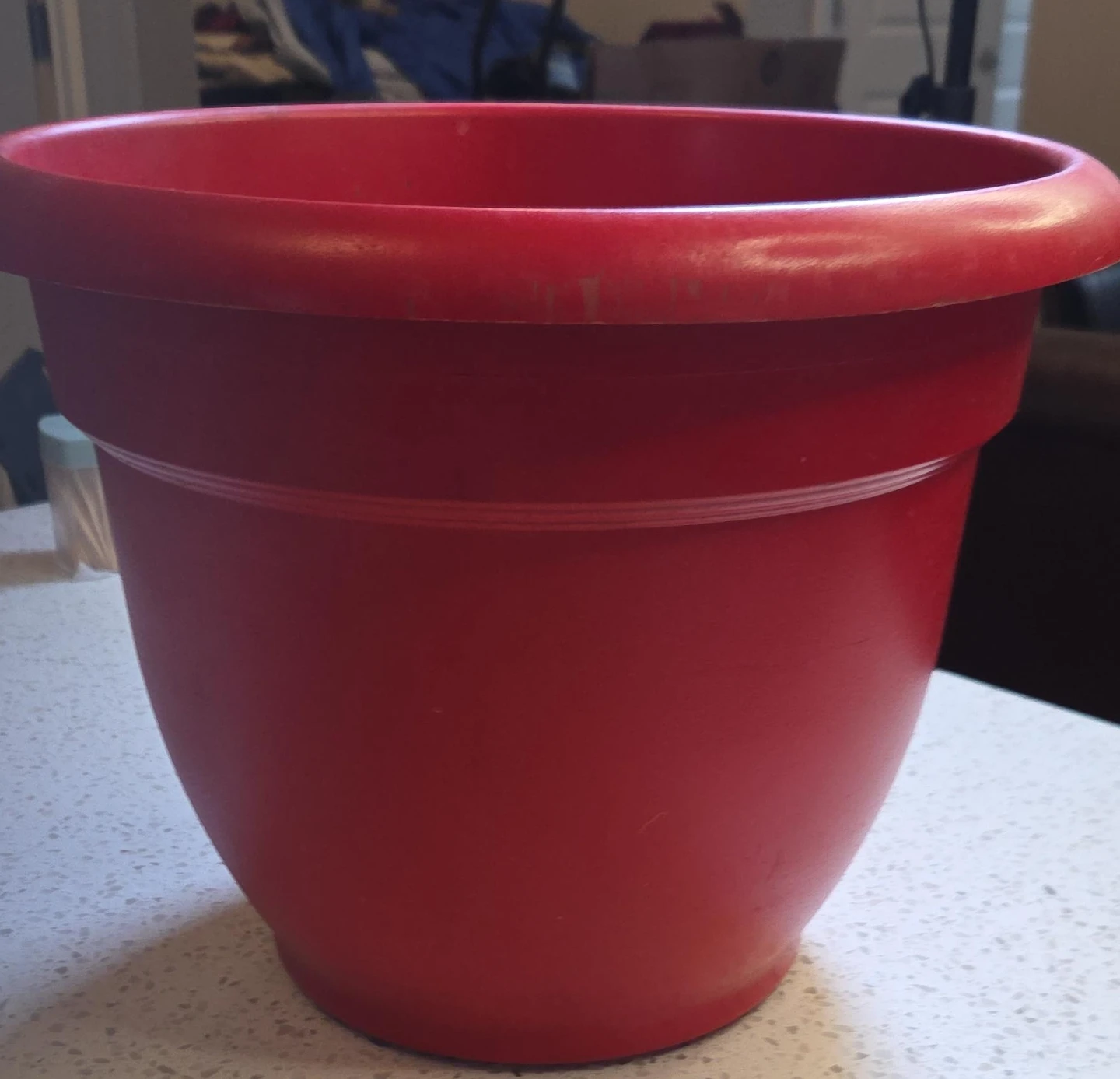Red Ariana Pot