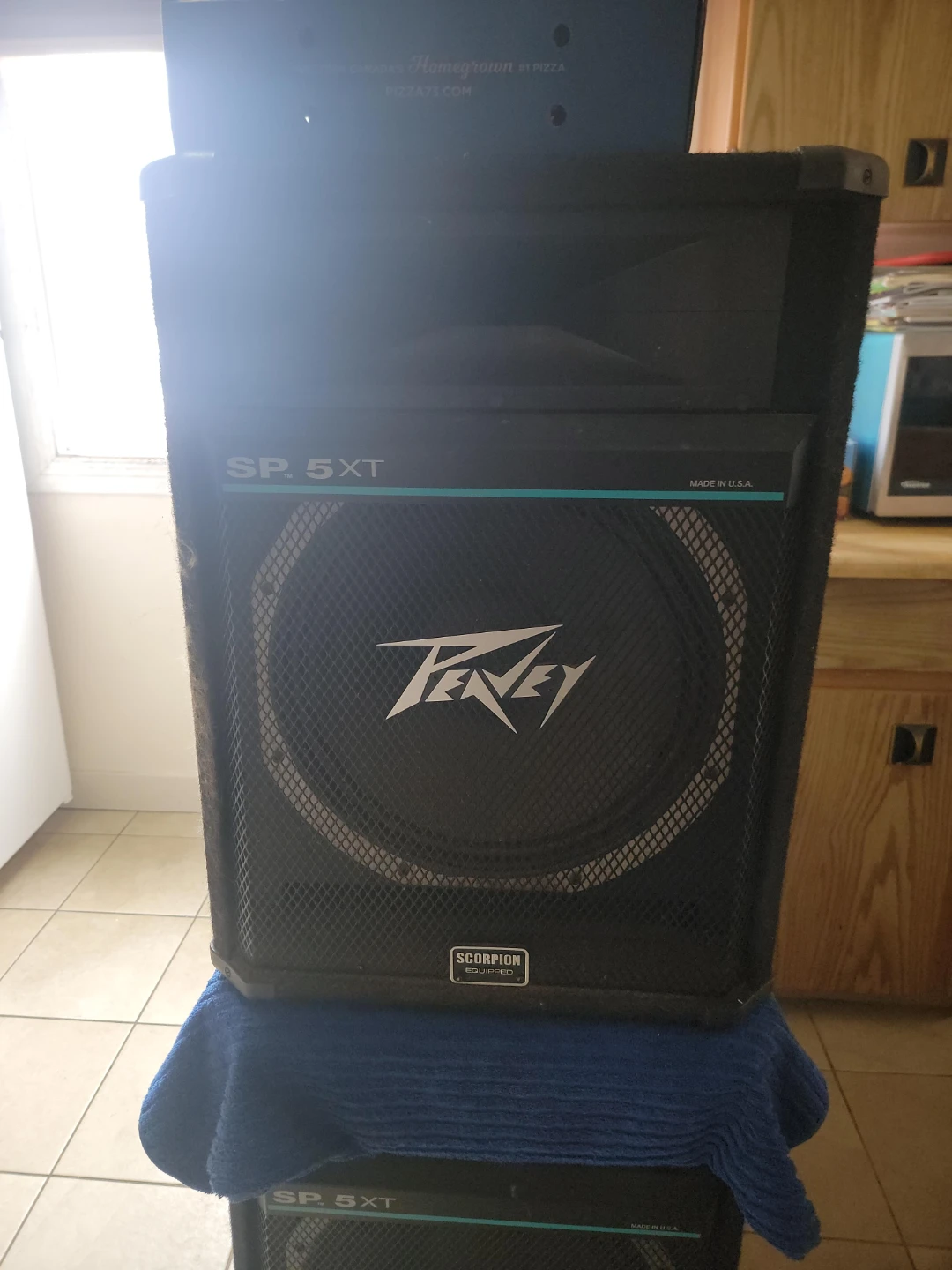 Peavey SP 5XT PA Speaker