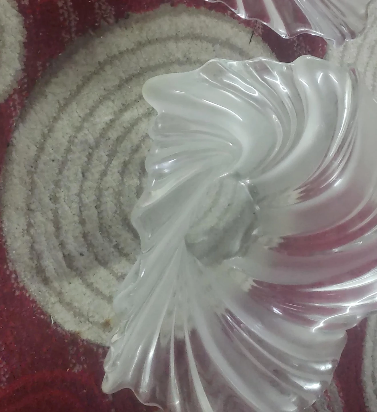 Clear Swirl Glass Bowl