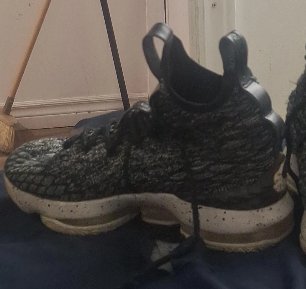 Nike LeBron Sneakers