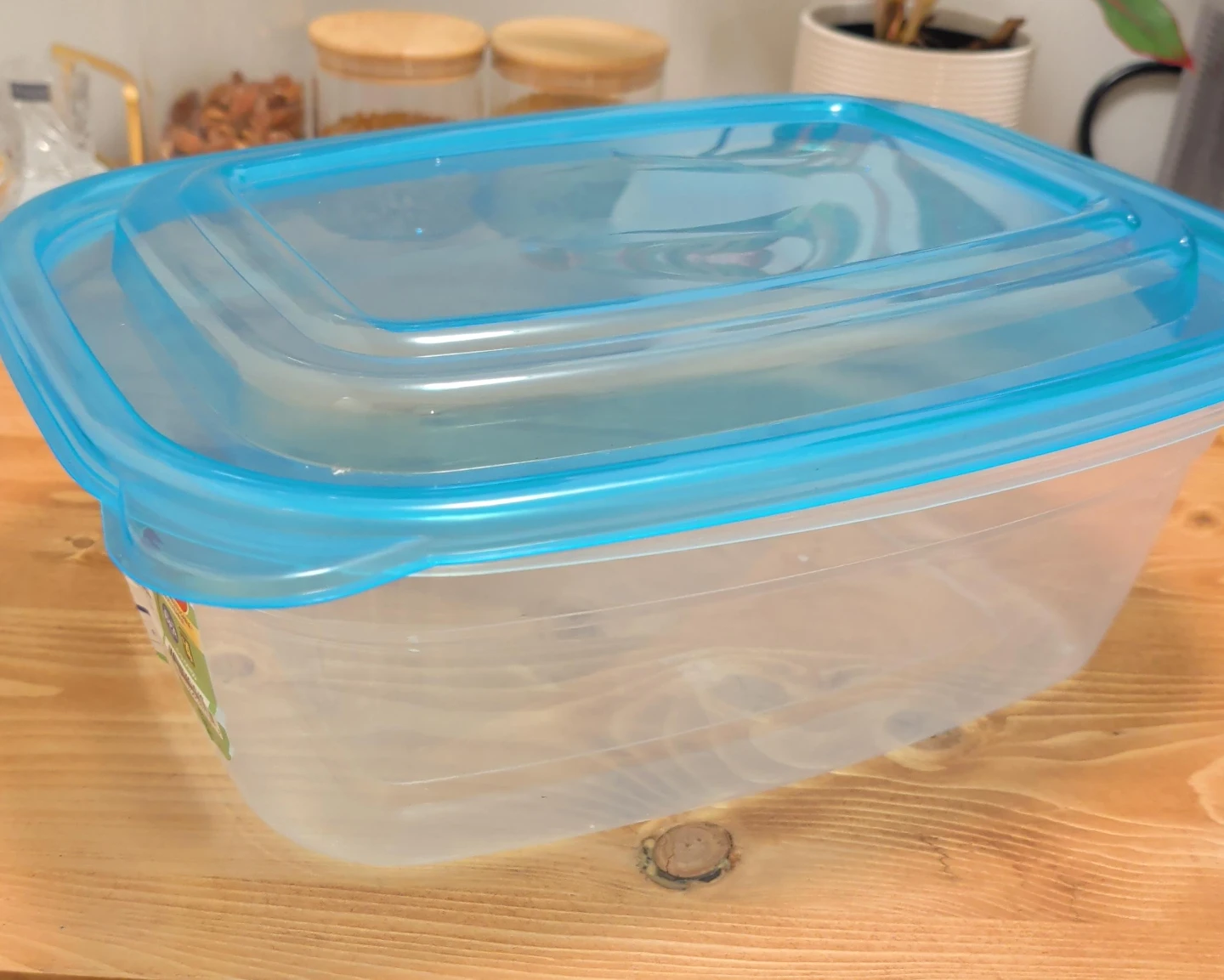 Plastic Food Storage Container with Blue Lid