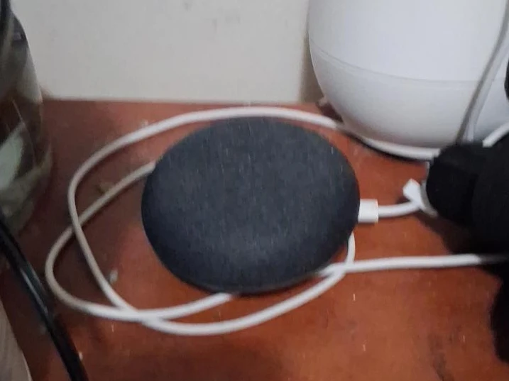 Google Nest Mini (Charcoal)
