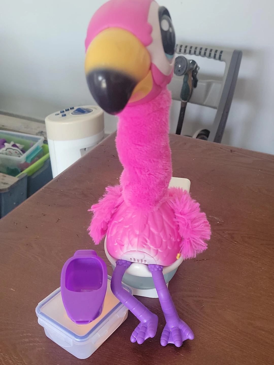 Gotta go flamingo