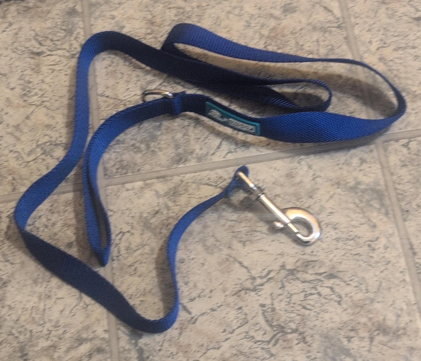 Blue Nylon Dog Leash