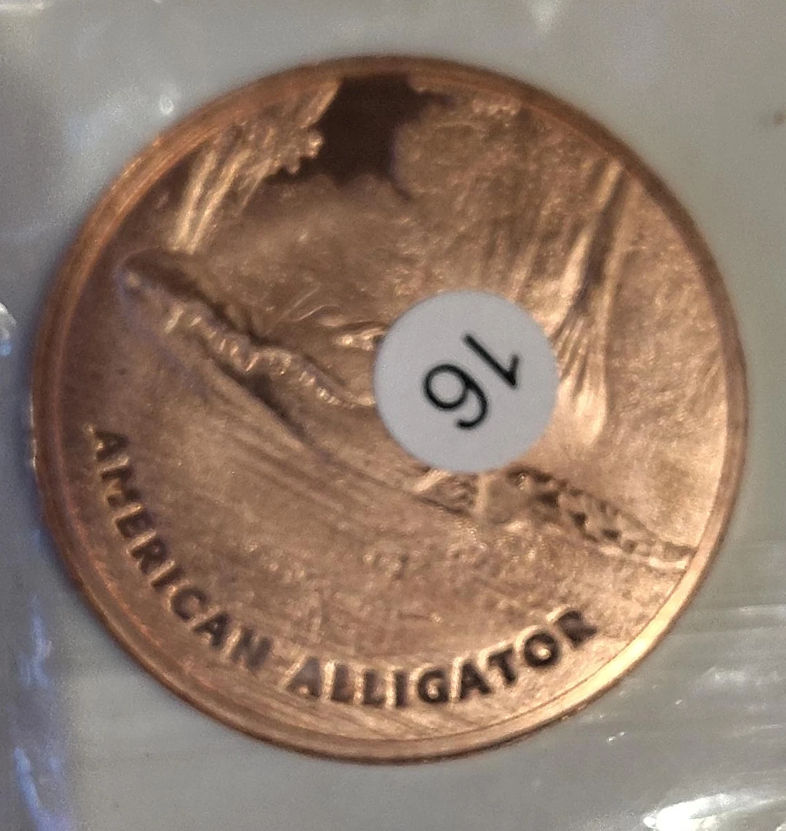 American Alligator Coin
