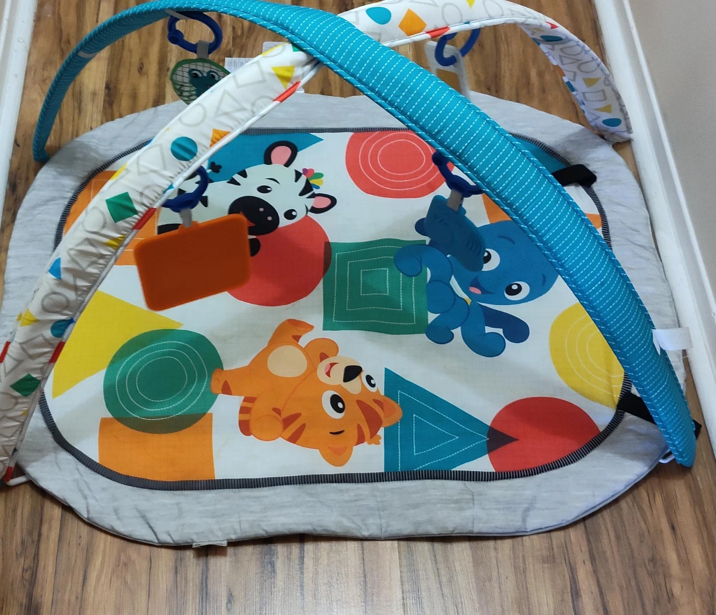 Baby Play Mat with Arches and Toys