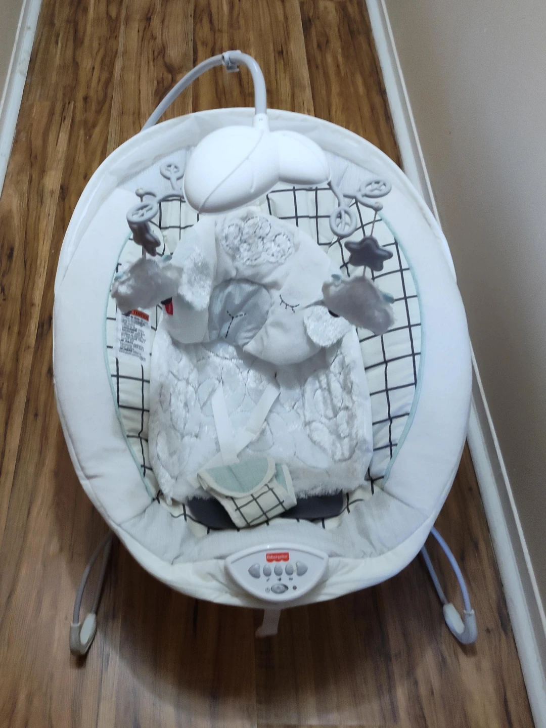 Fisher-Price Baby Bouncer