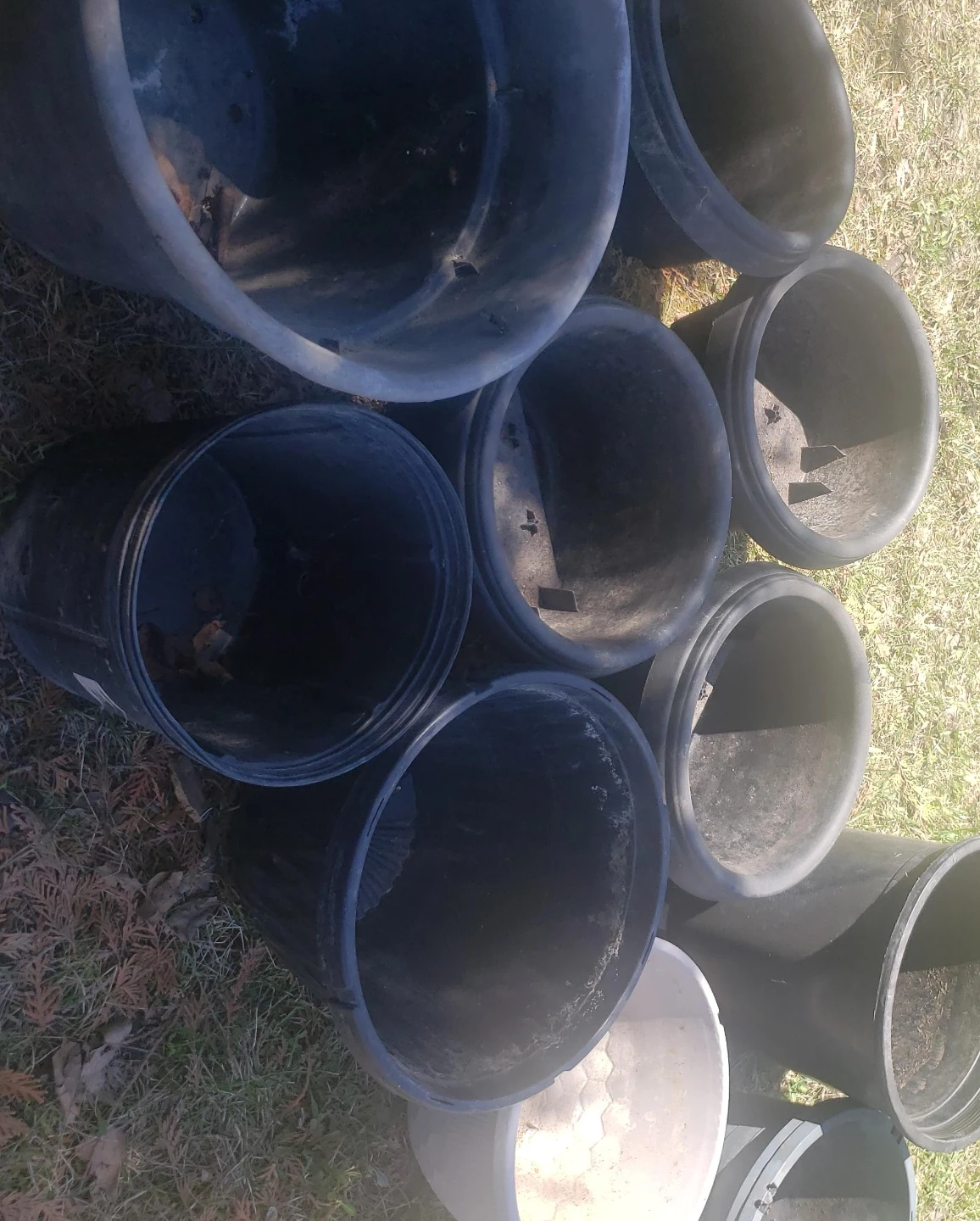 Large Black Plastic Plant Pots 11 in total