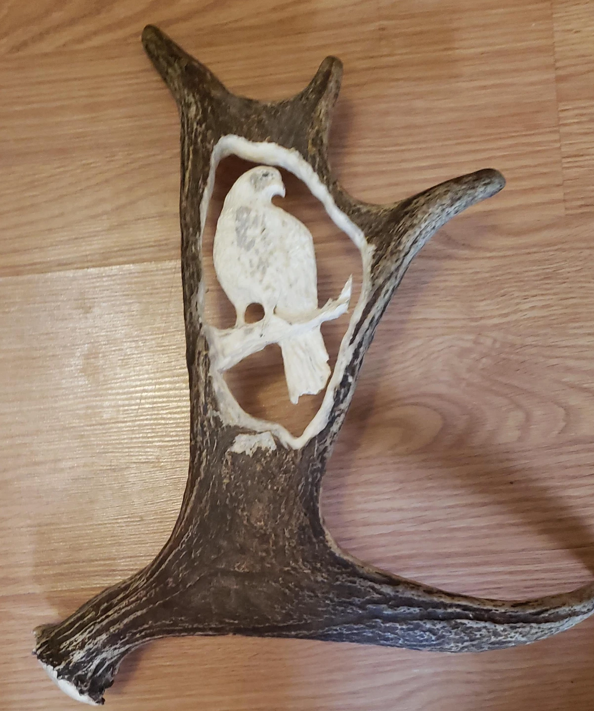 Carved Antler with Hawk Decoration