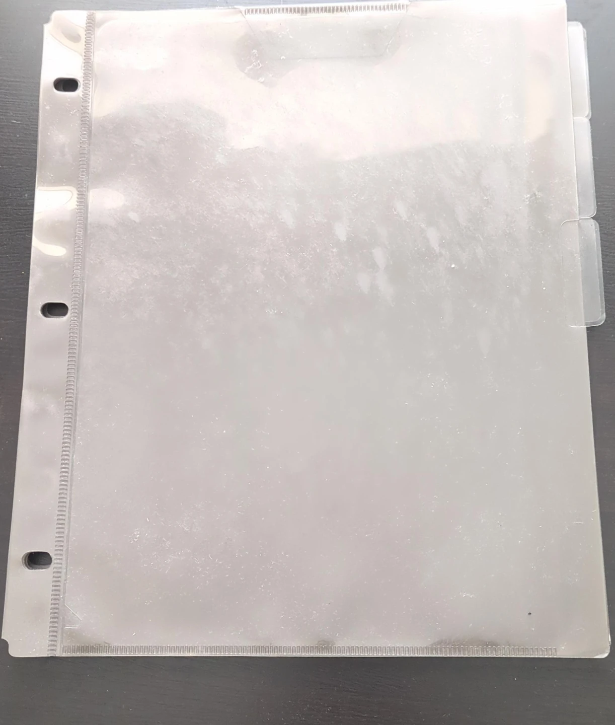 6 Clear Plastic Binder Pages with Tabs