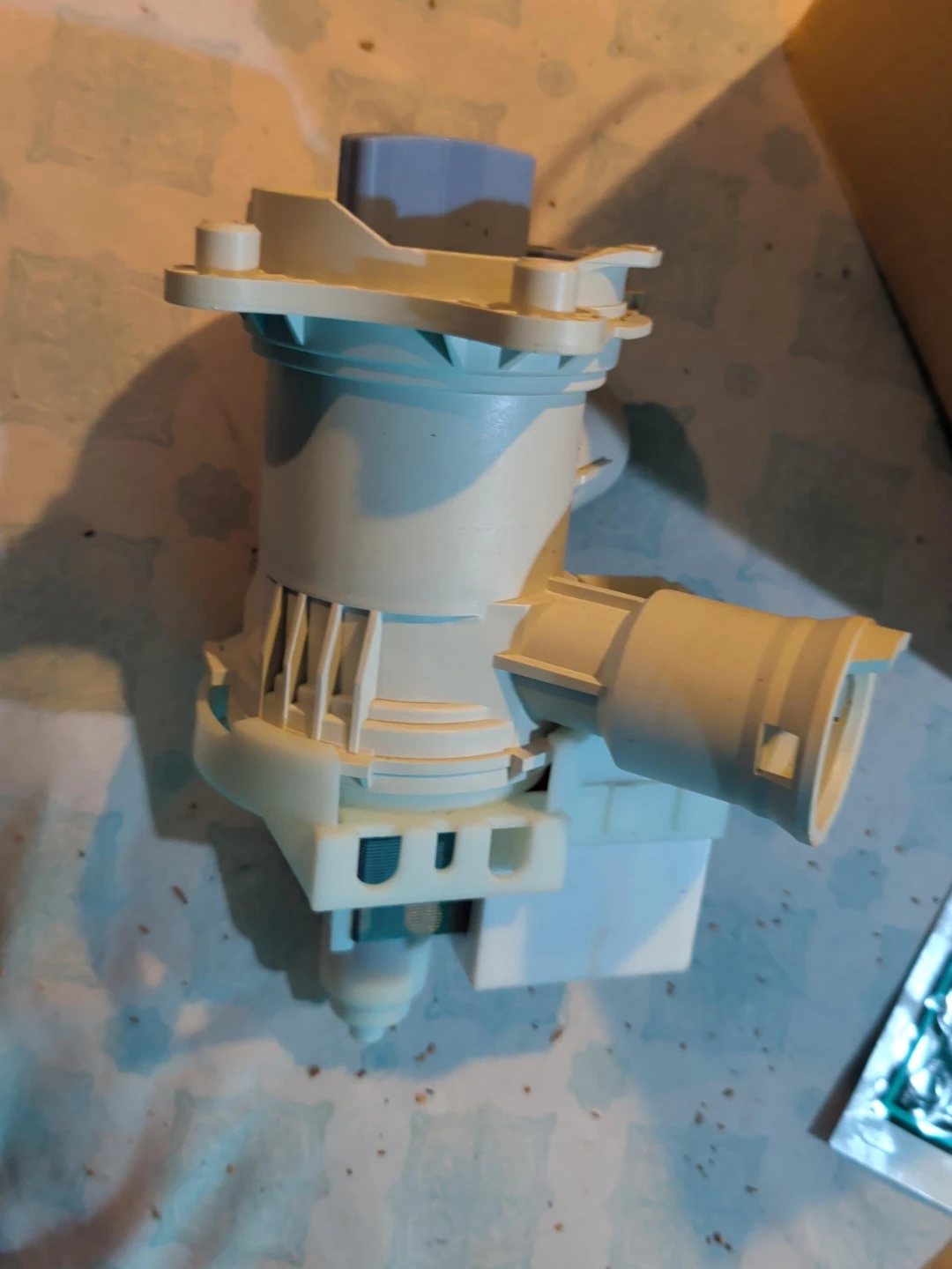 Dishwasher Drain Pump