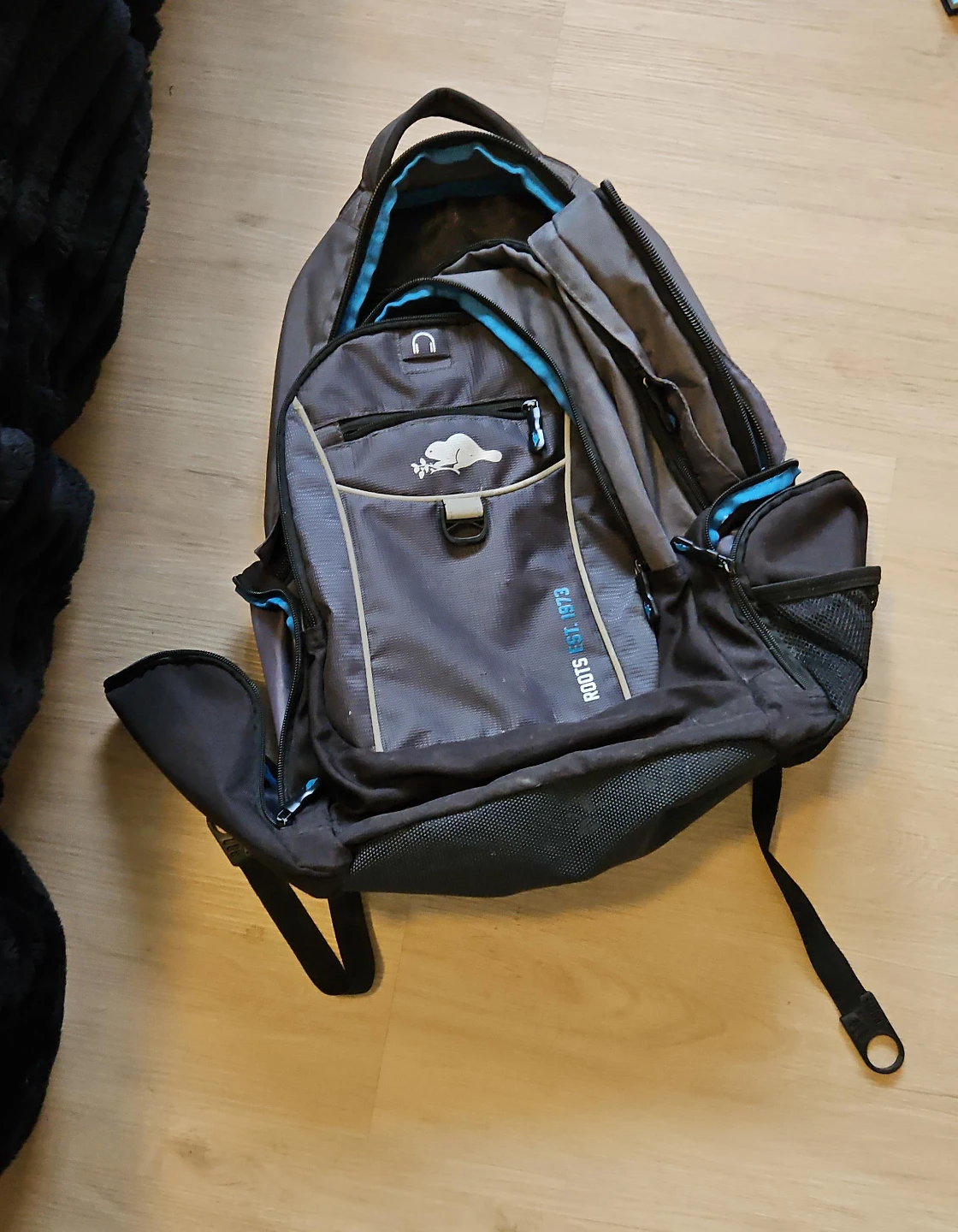 Roots Backpack - Grey & Blue