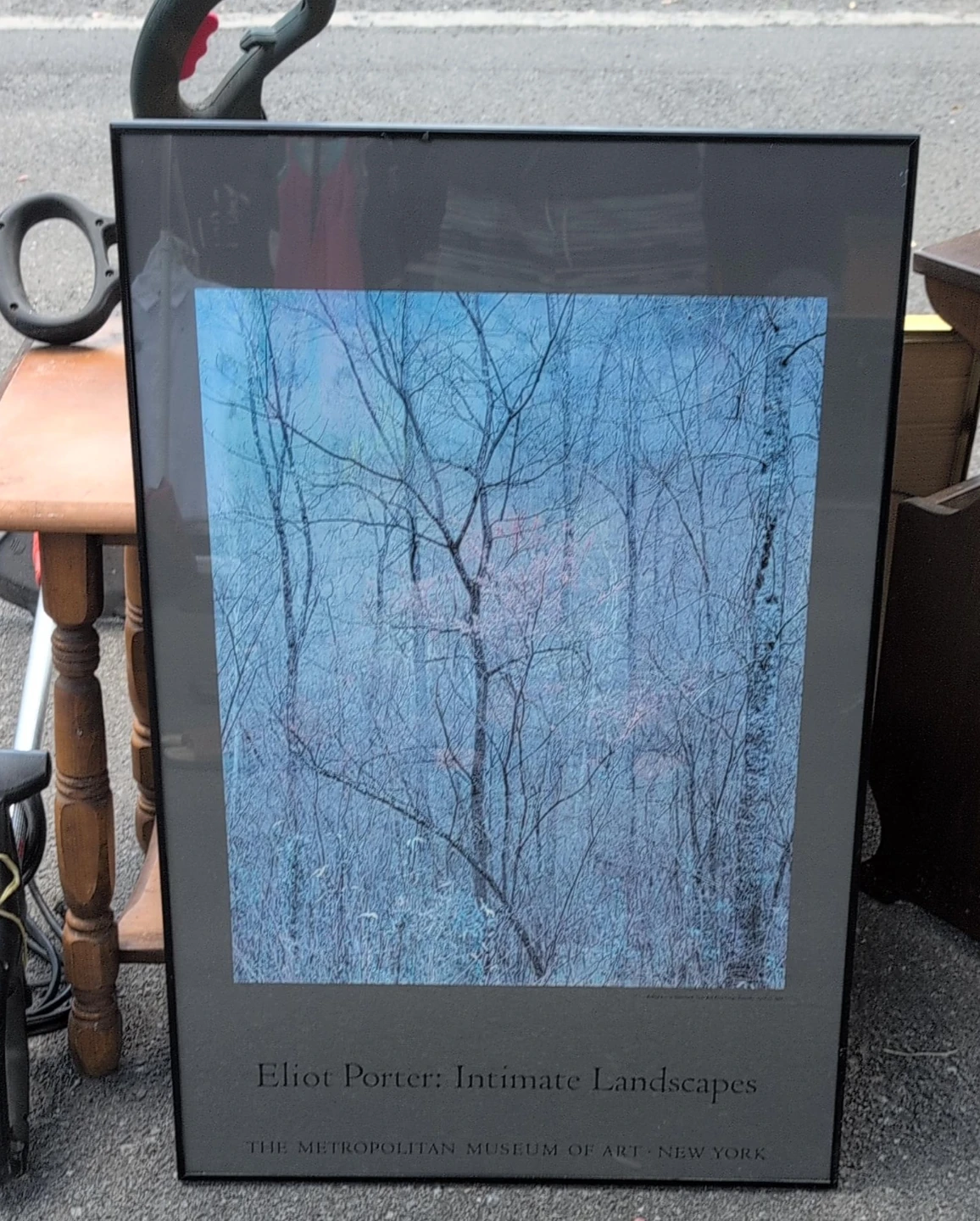 Eliot Porter Intimate Landscapes Art Print
