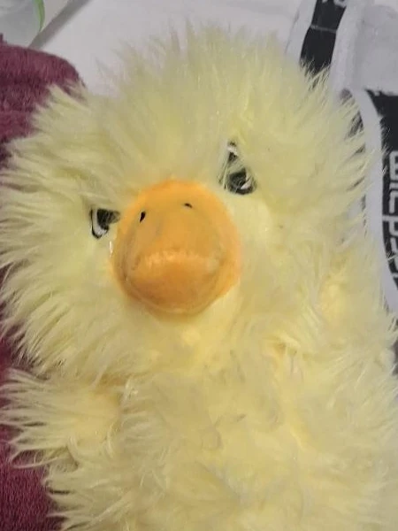 Yellow Plush Duck Stuffed Animal
