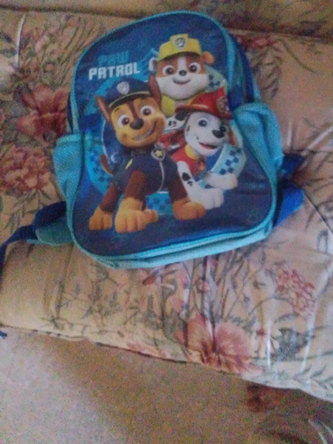 Paw Patrol Backpack