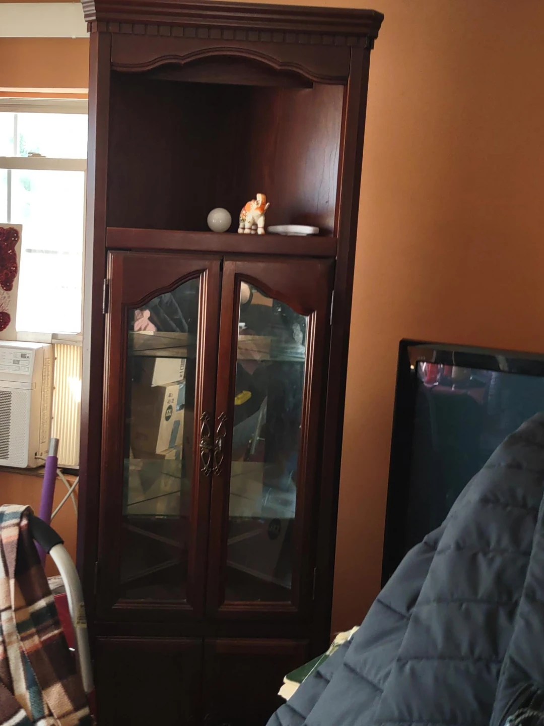 Wooden Curio Cabinet with Glass Doors
