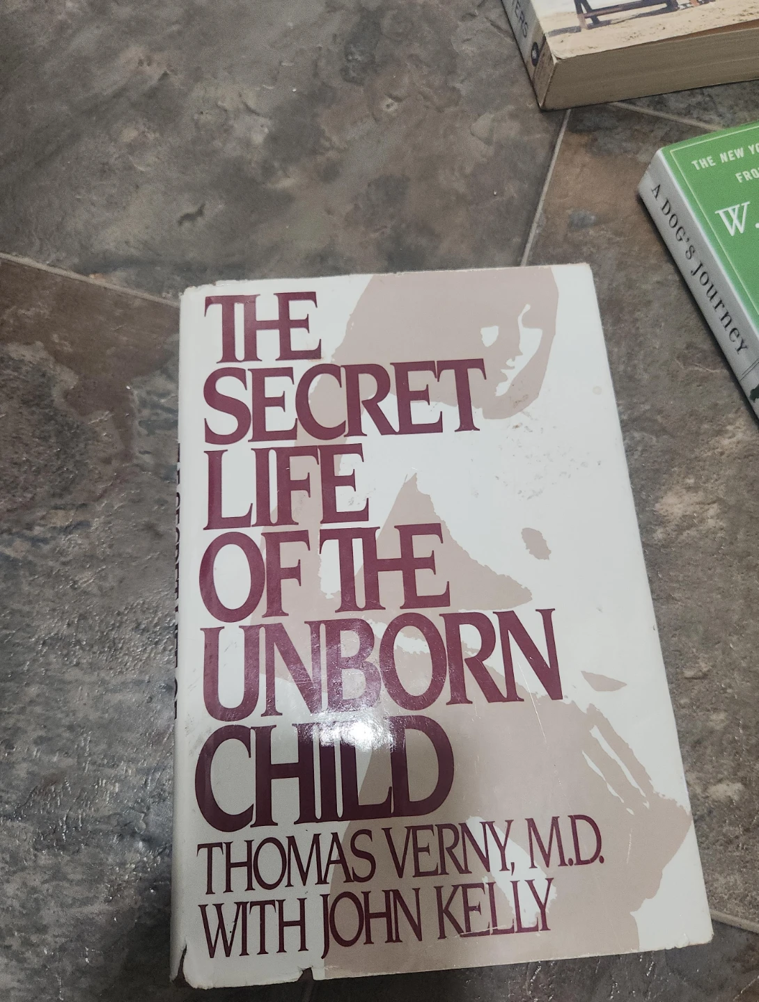 The Secret Life of the Unborn Child by Thomas Verny, M.D.