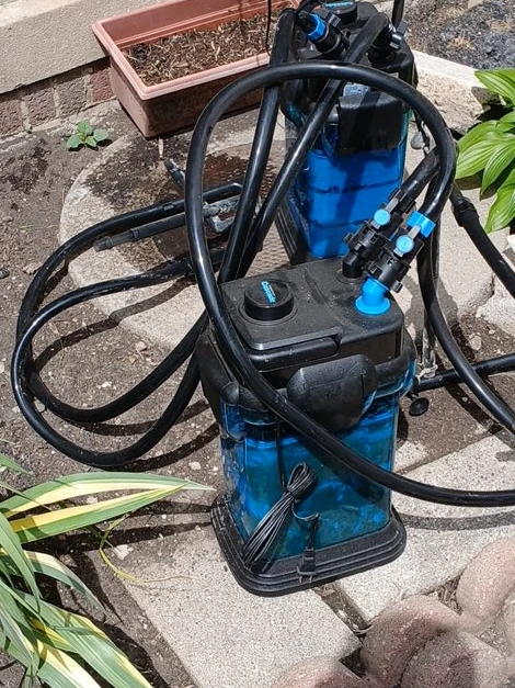 Canister Filter