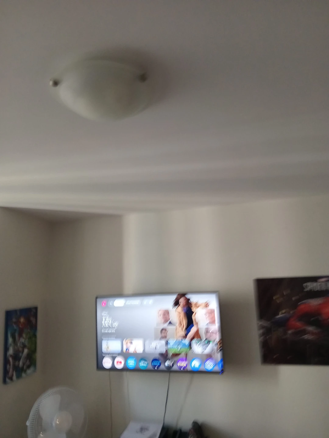 Flush Mount Ceiling Light Fixture