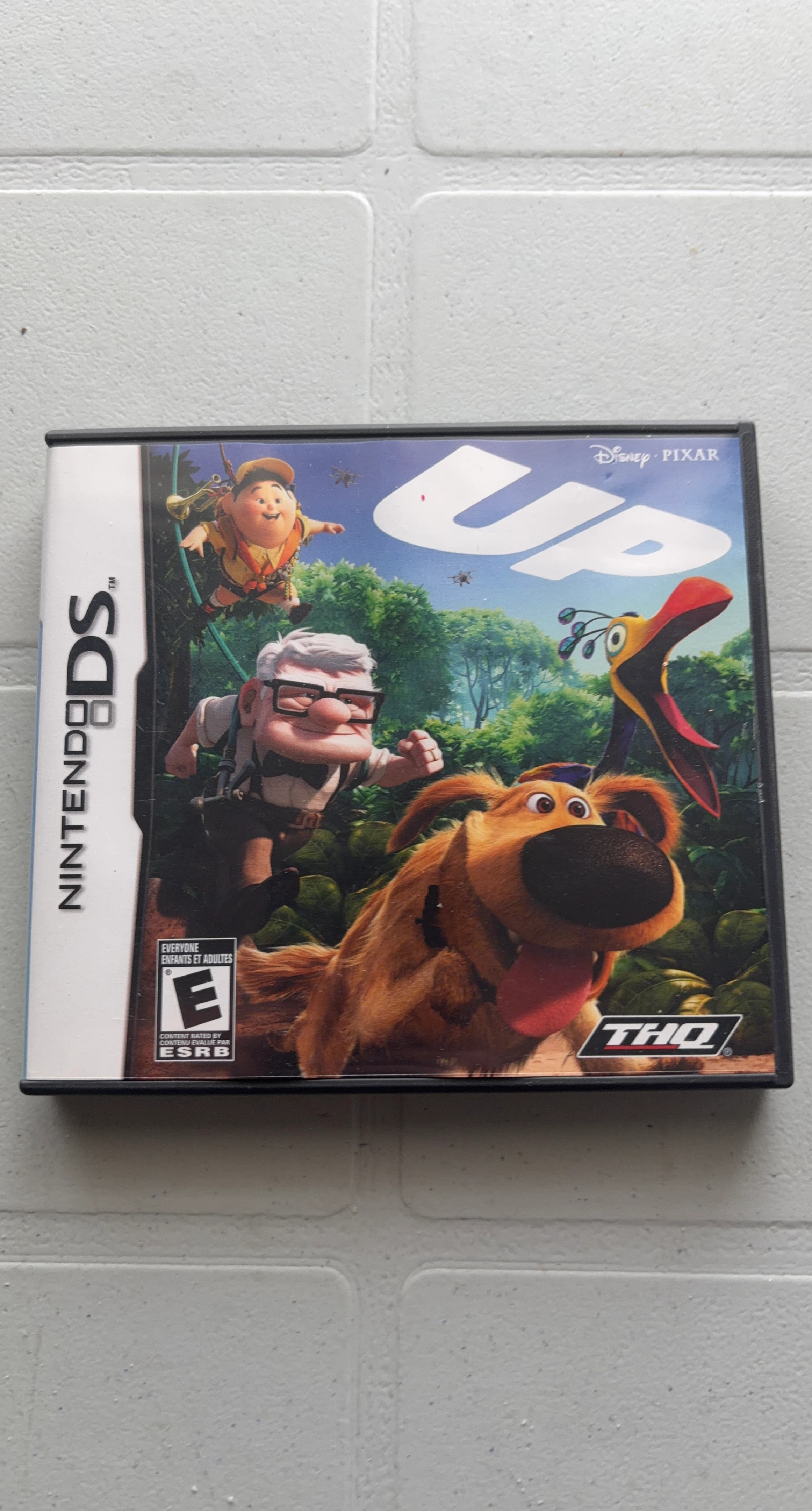 Nintendo DS UP Video Game