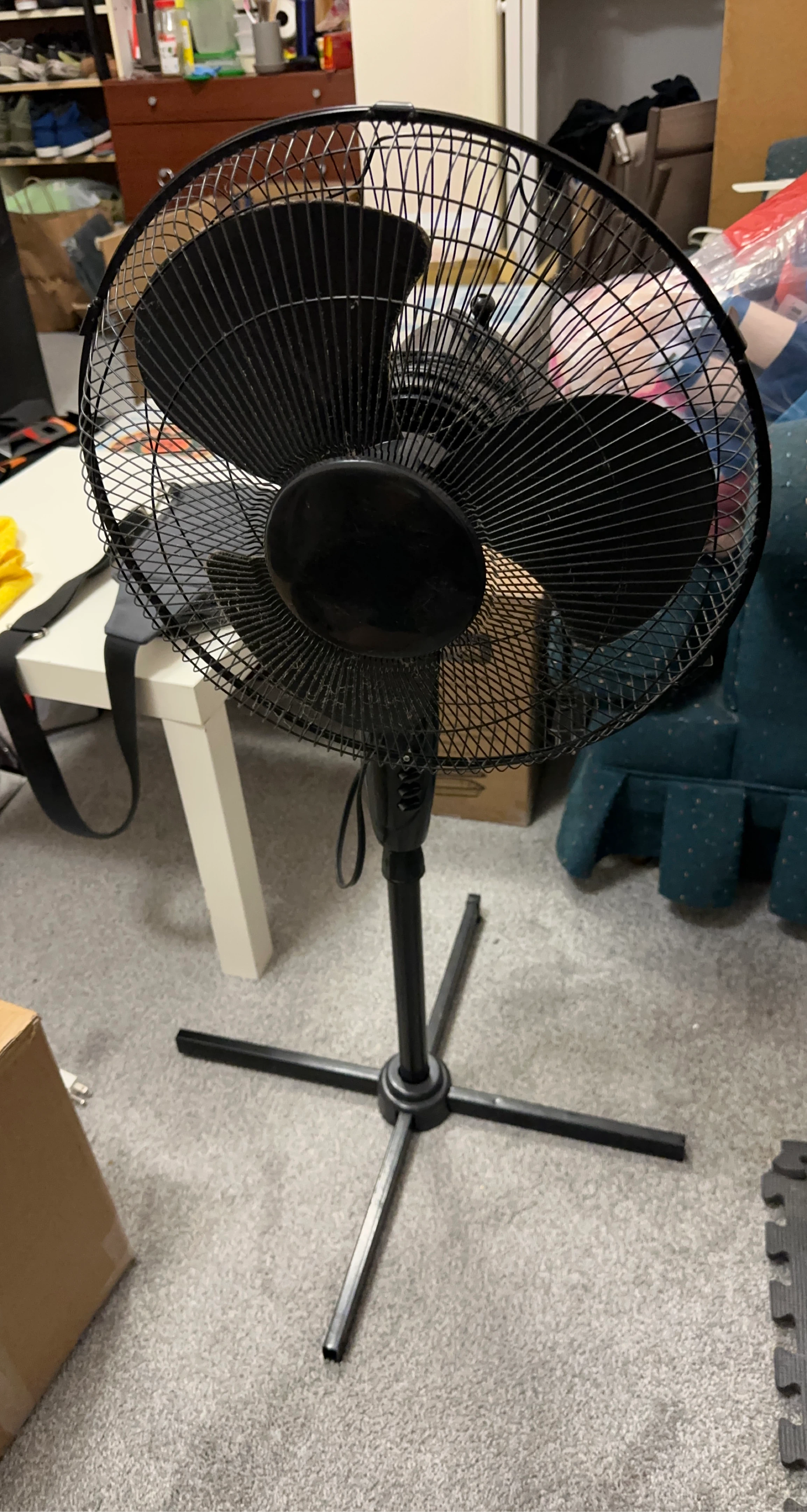 Black Standing Fan