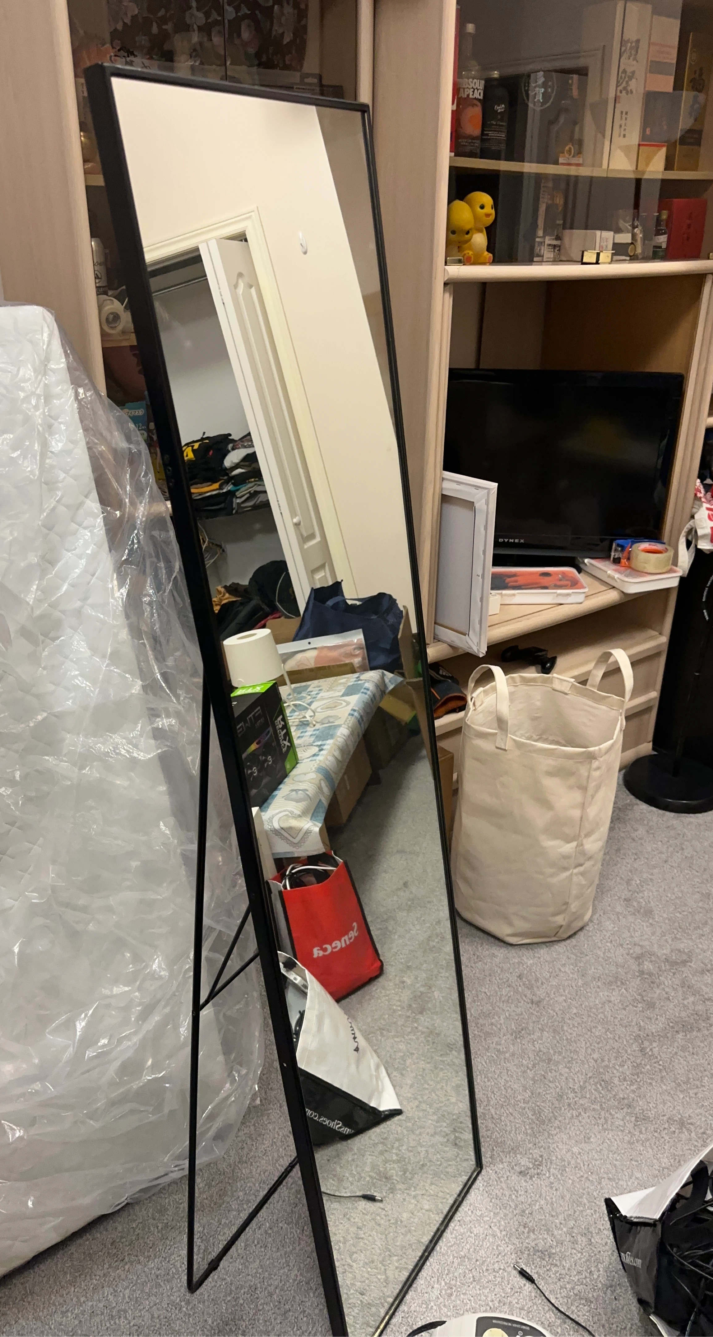 Full Length Standing Mirror with Black Frame