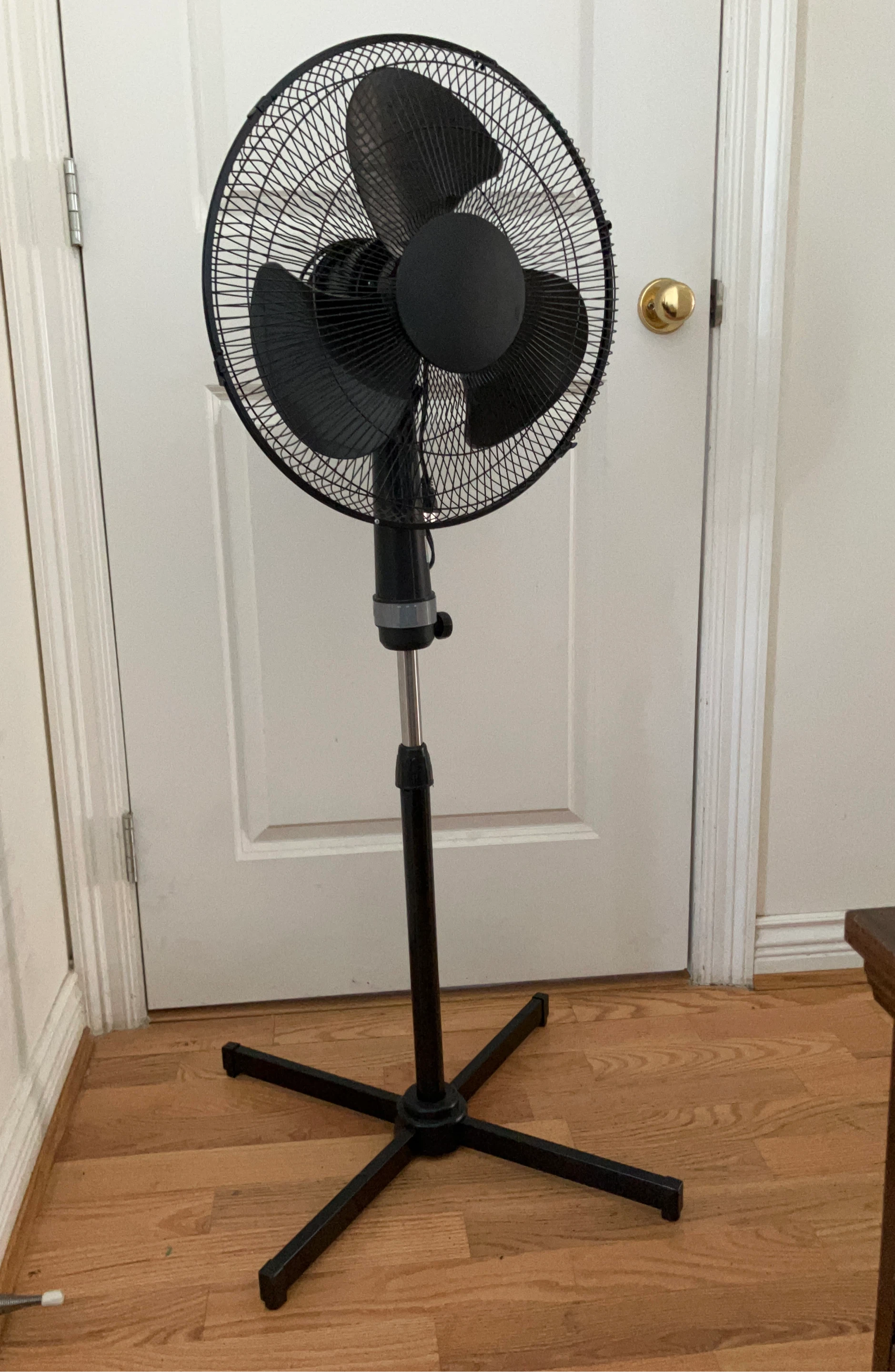 Black Pedestal Fan