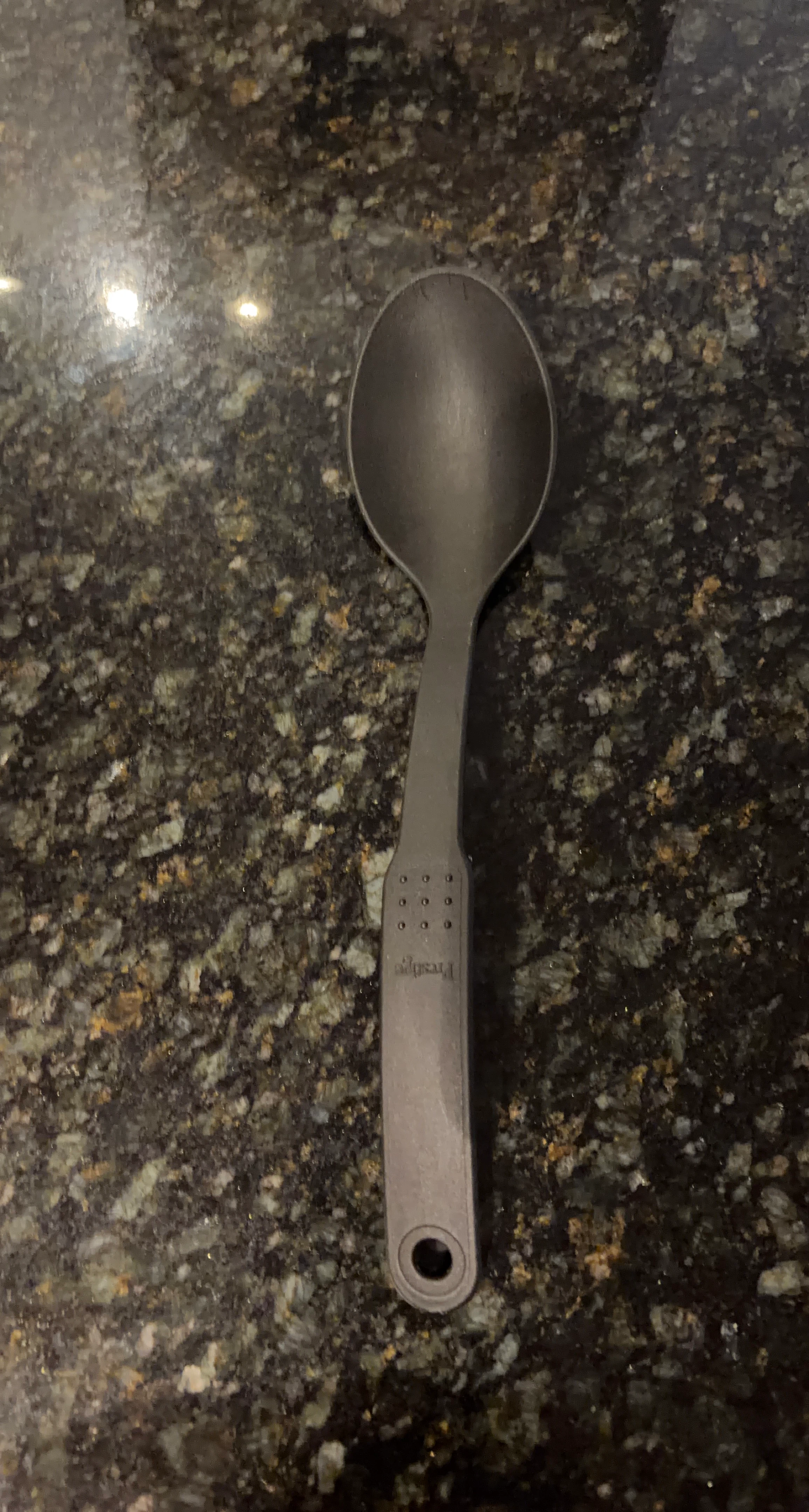Prestige Serving Spoon