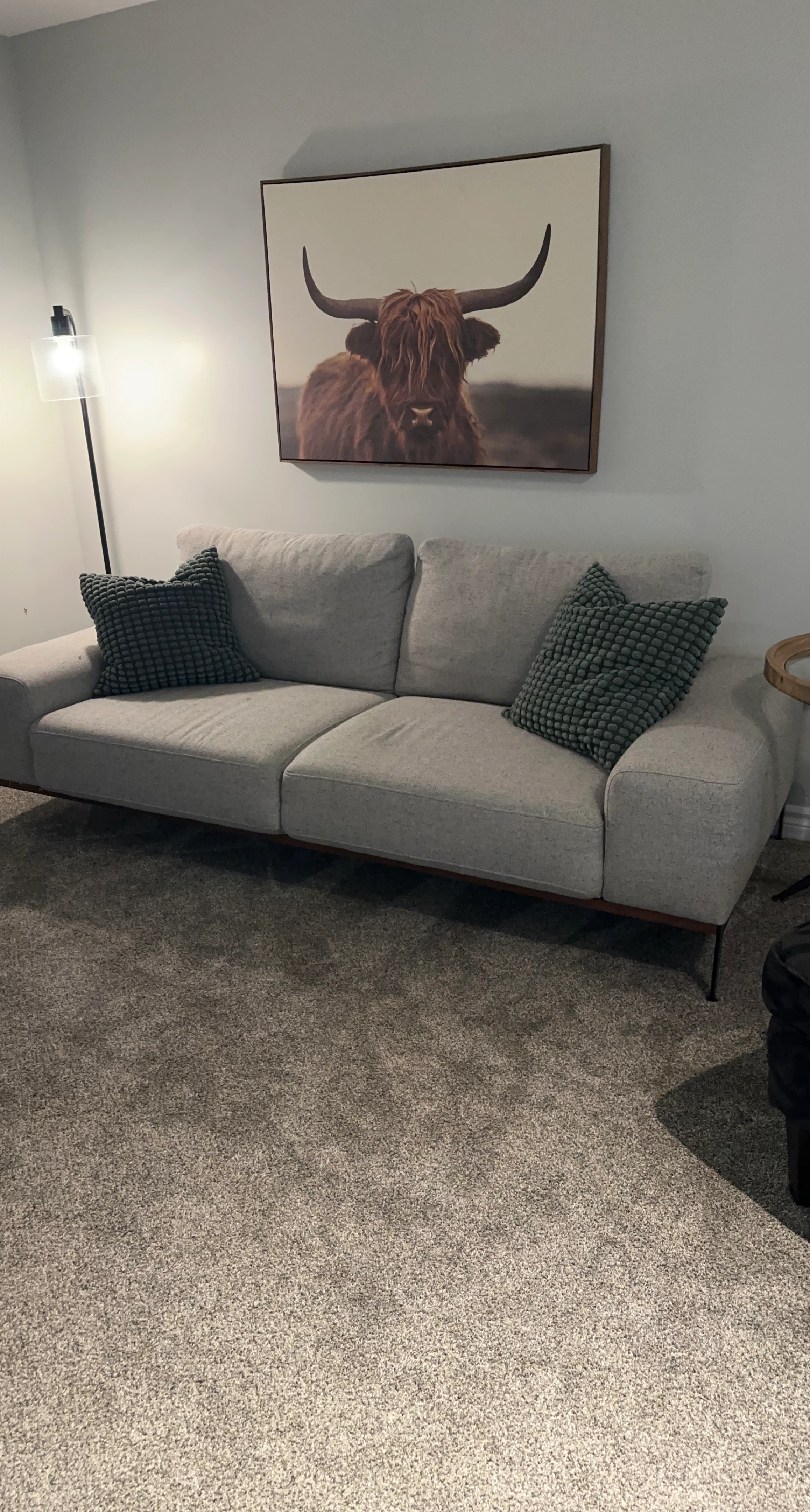 Light Grey Sofa with Dark Legs