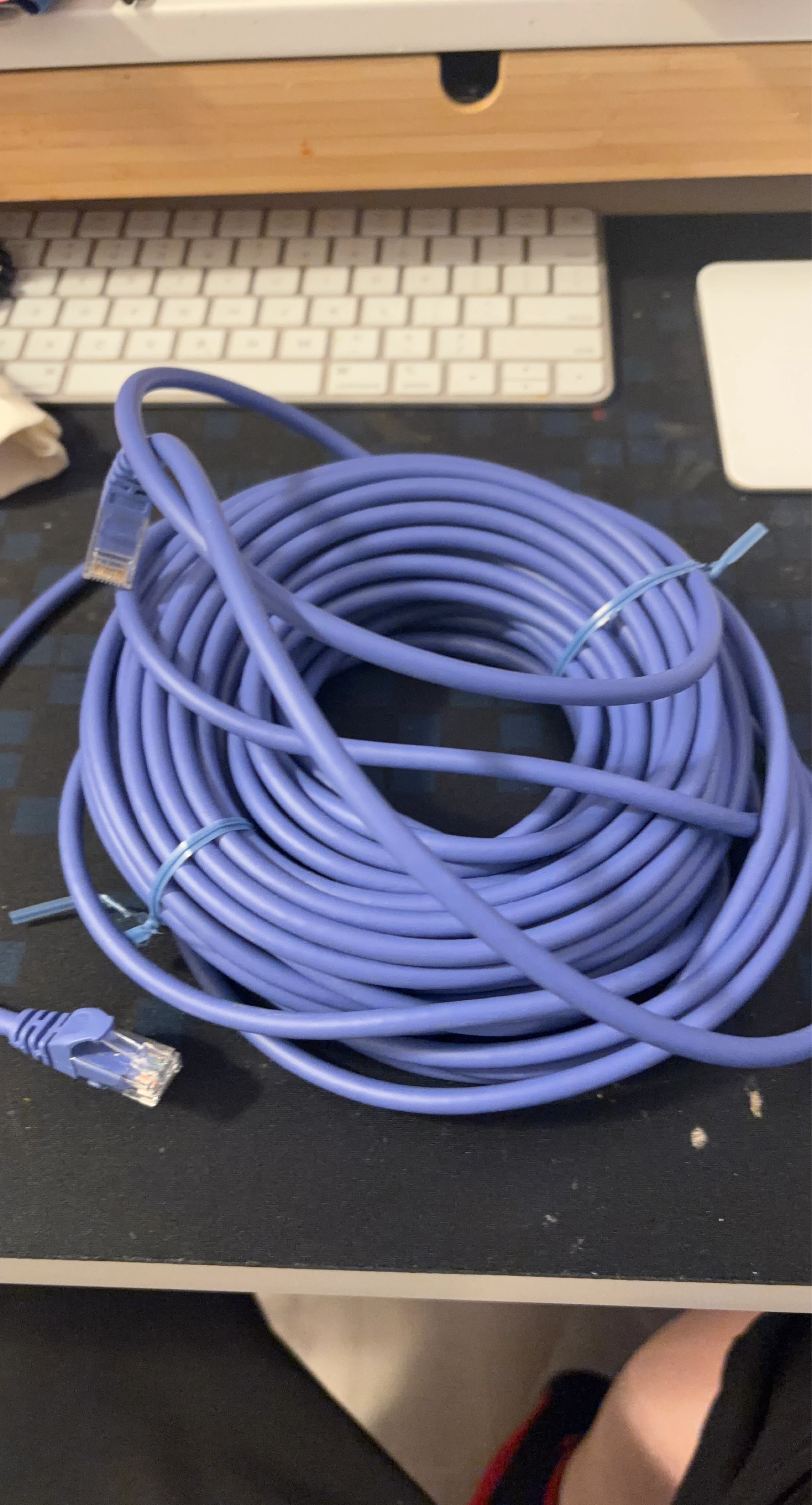 Purple Ethernet Cable