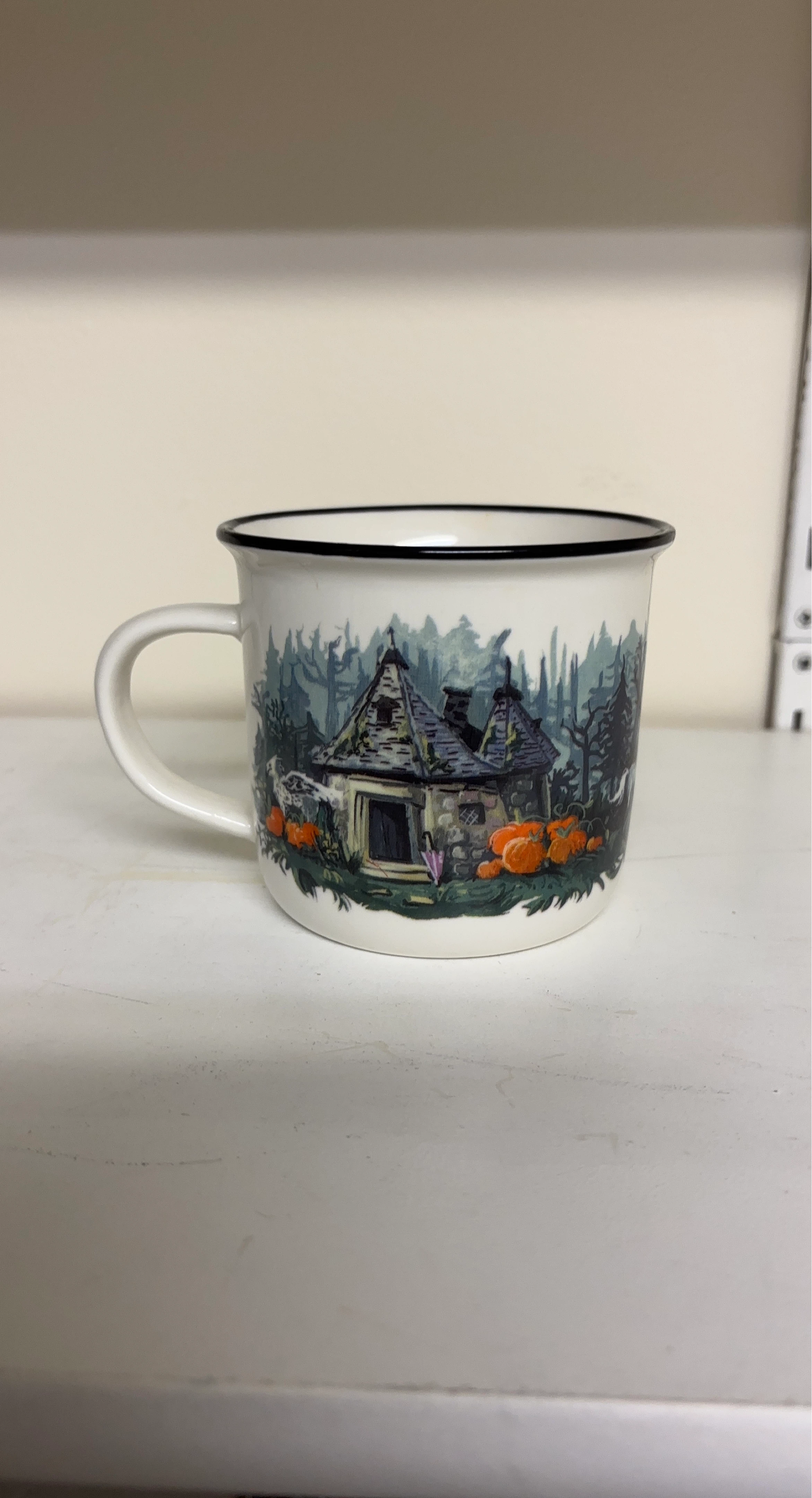 Harry Potter Owlcrate Exclusive Design Mug