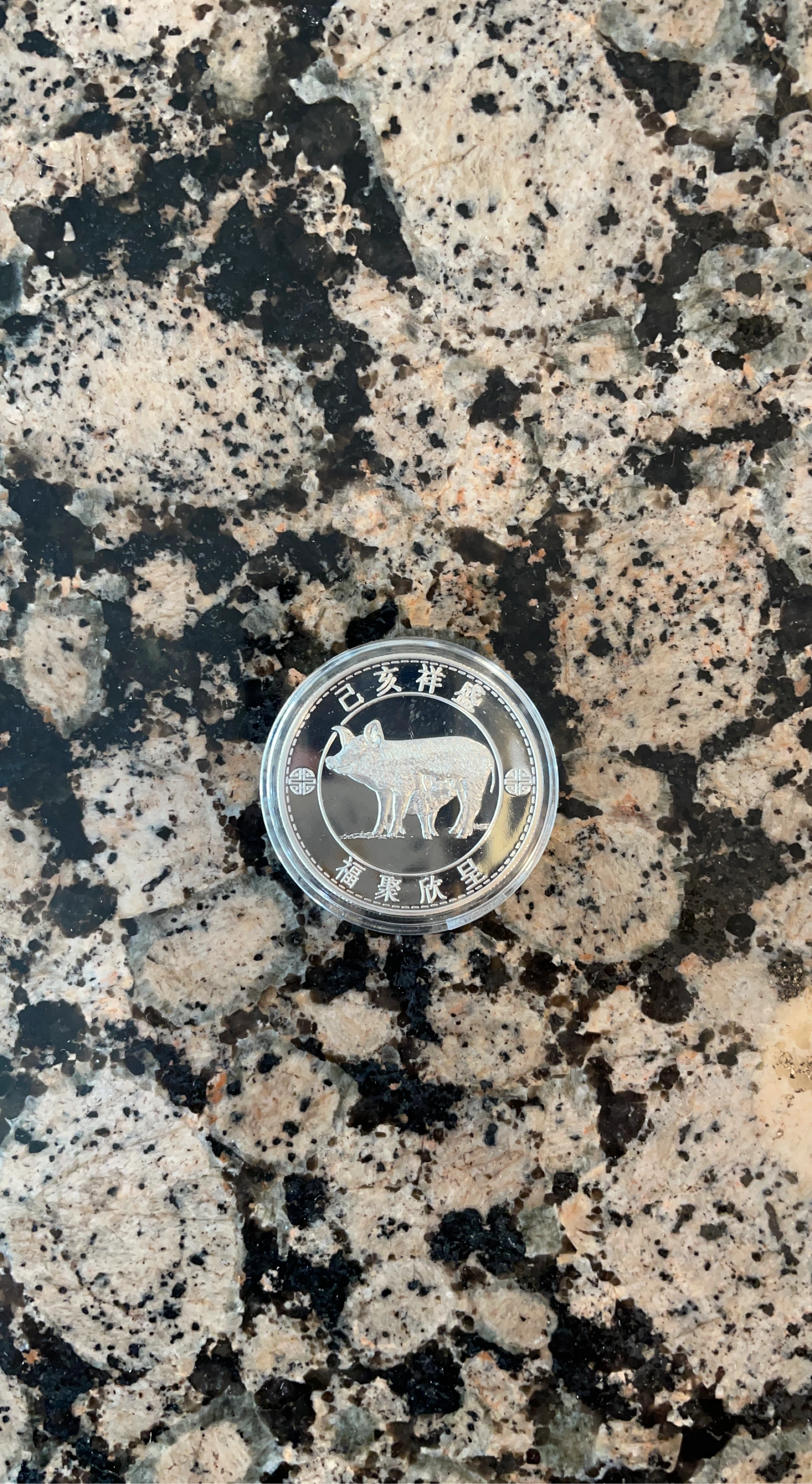 RBC Royal Bank 2019 Pig Coin