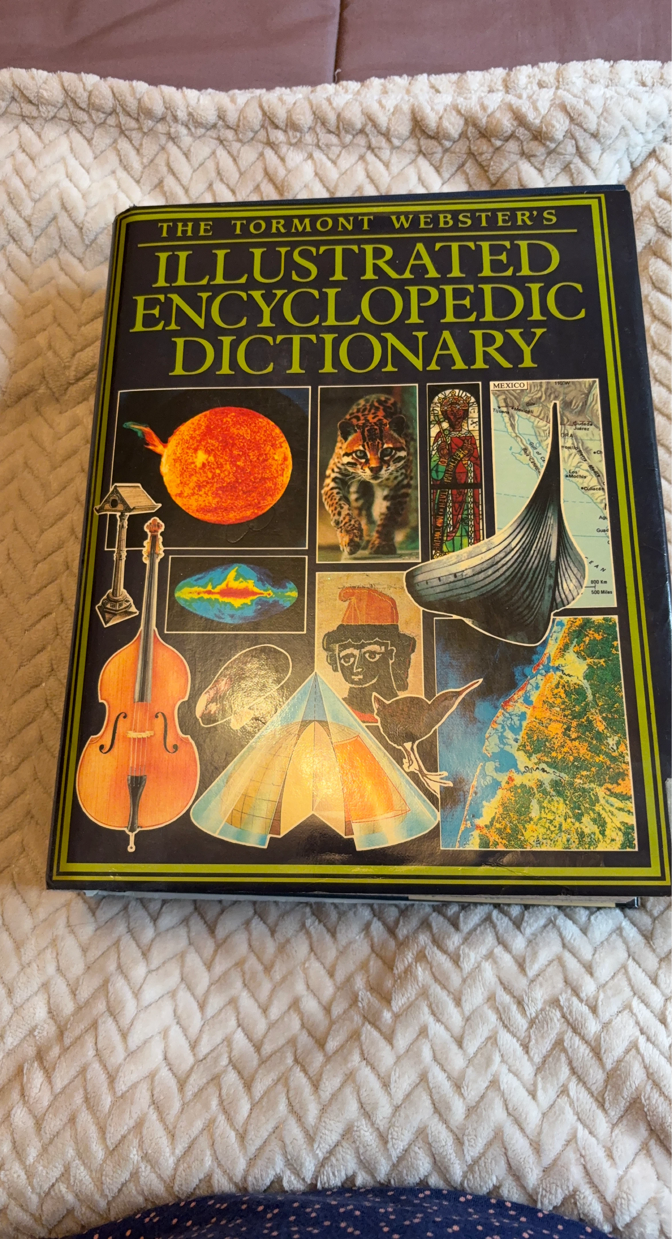 The Tormont Webster's Illustrated Encyclopedic Dictionary