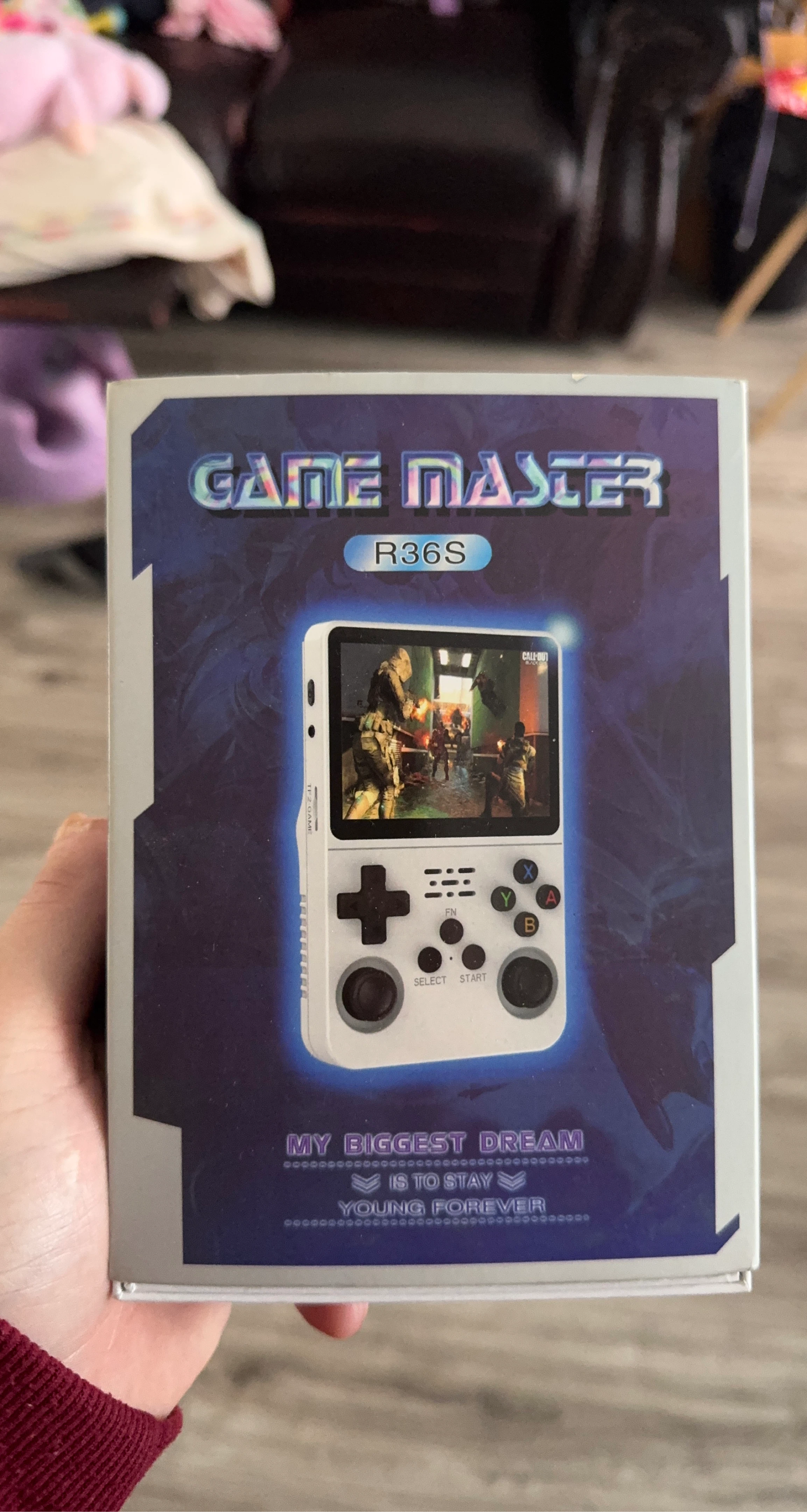 Game Master R36S Handheld Game Console