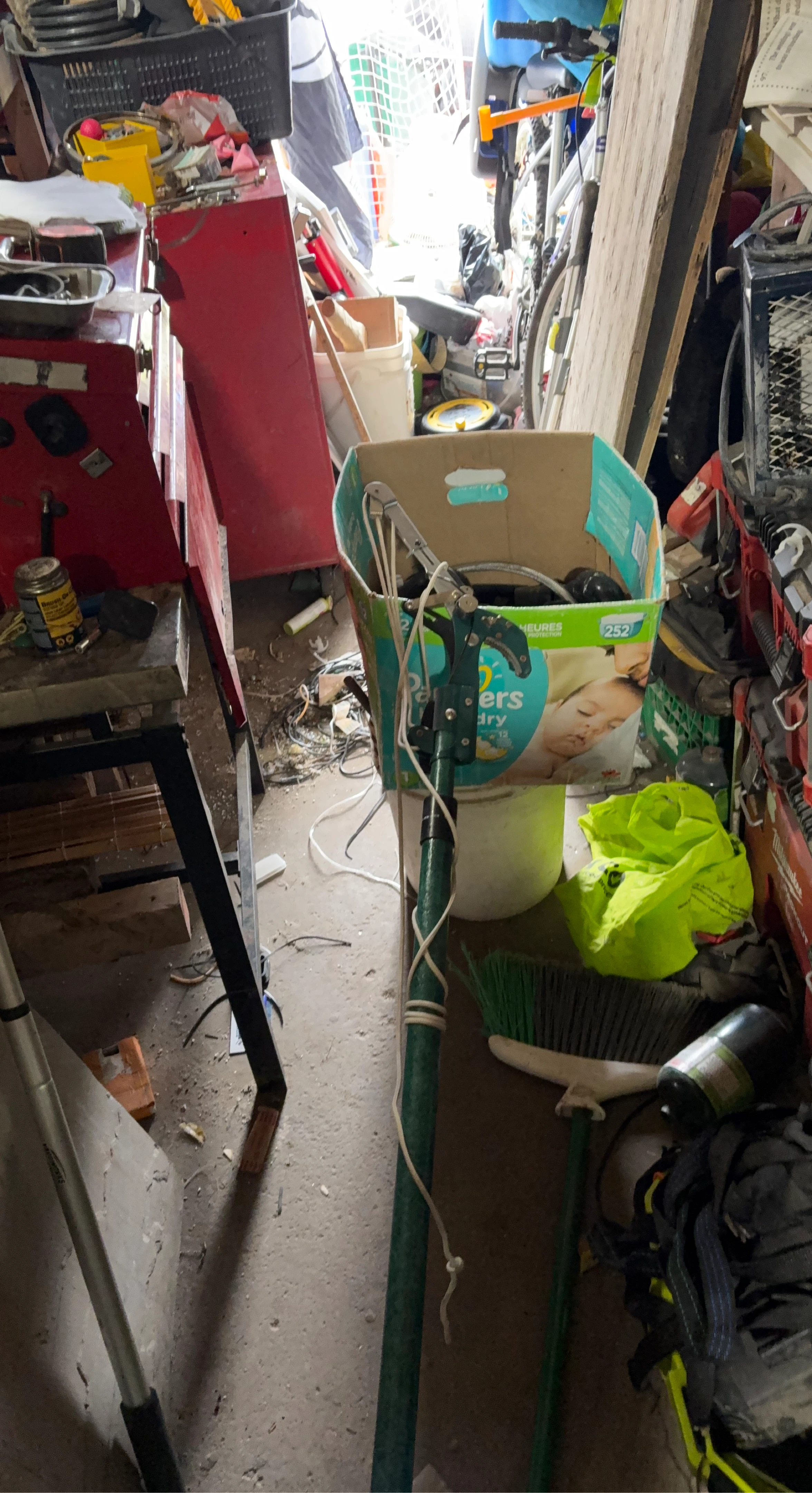 Green Extendable Pole Saw