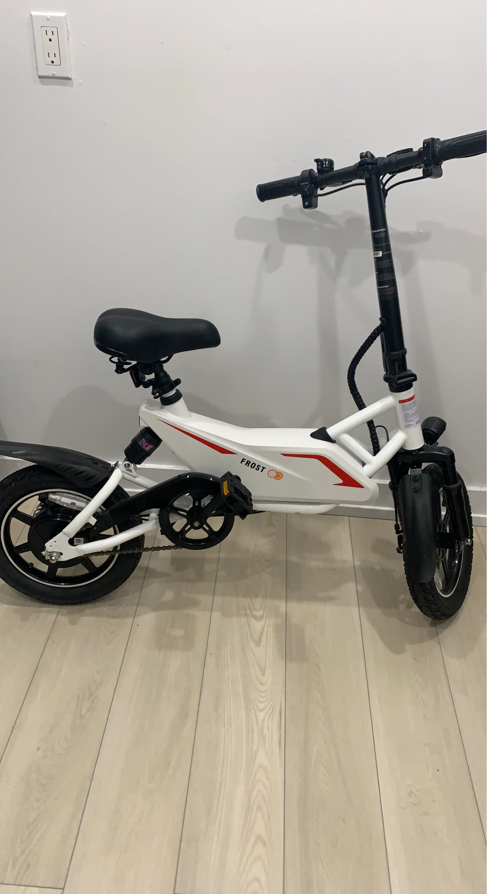 FROST Folding Electric Bike