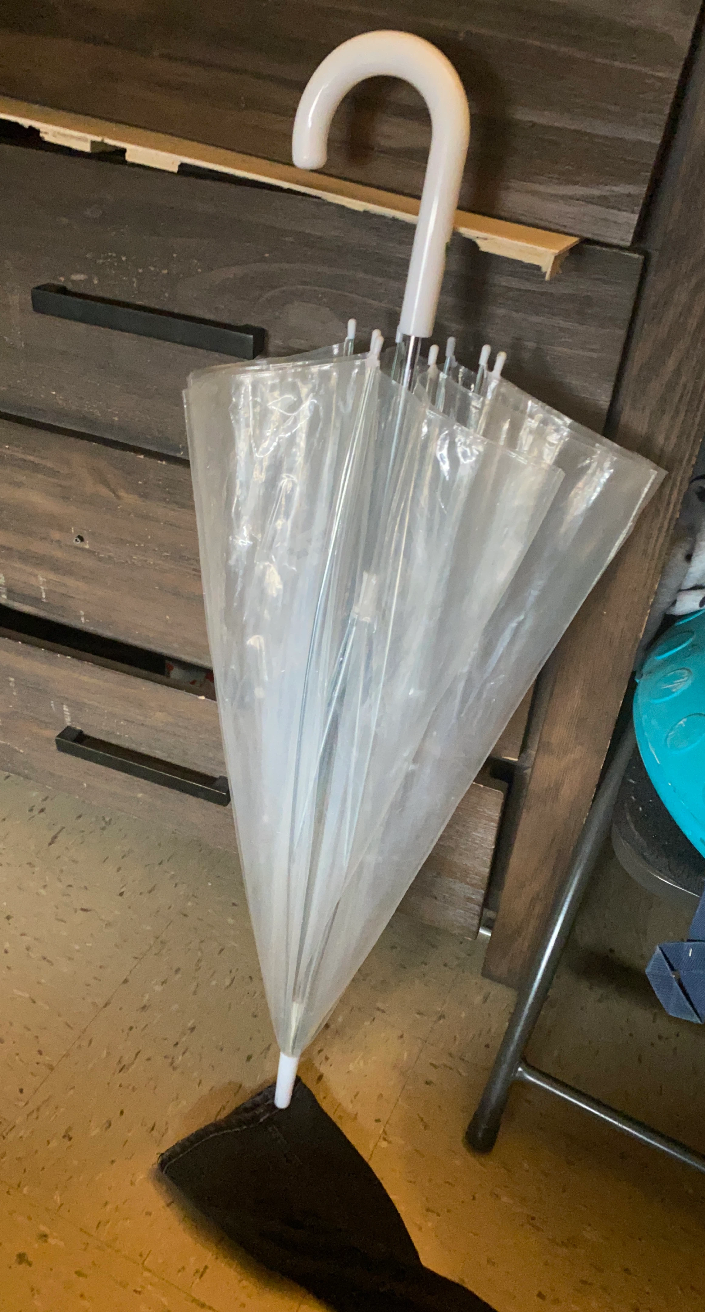 Clear Dome Umbrella with White Hook Handle
