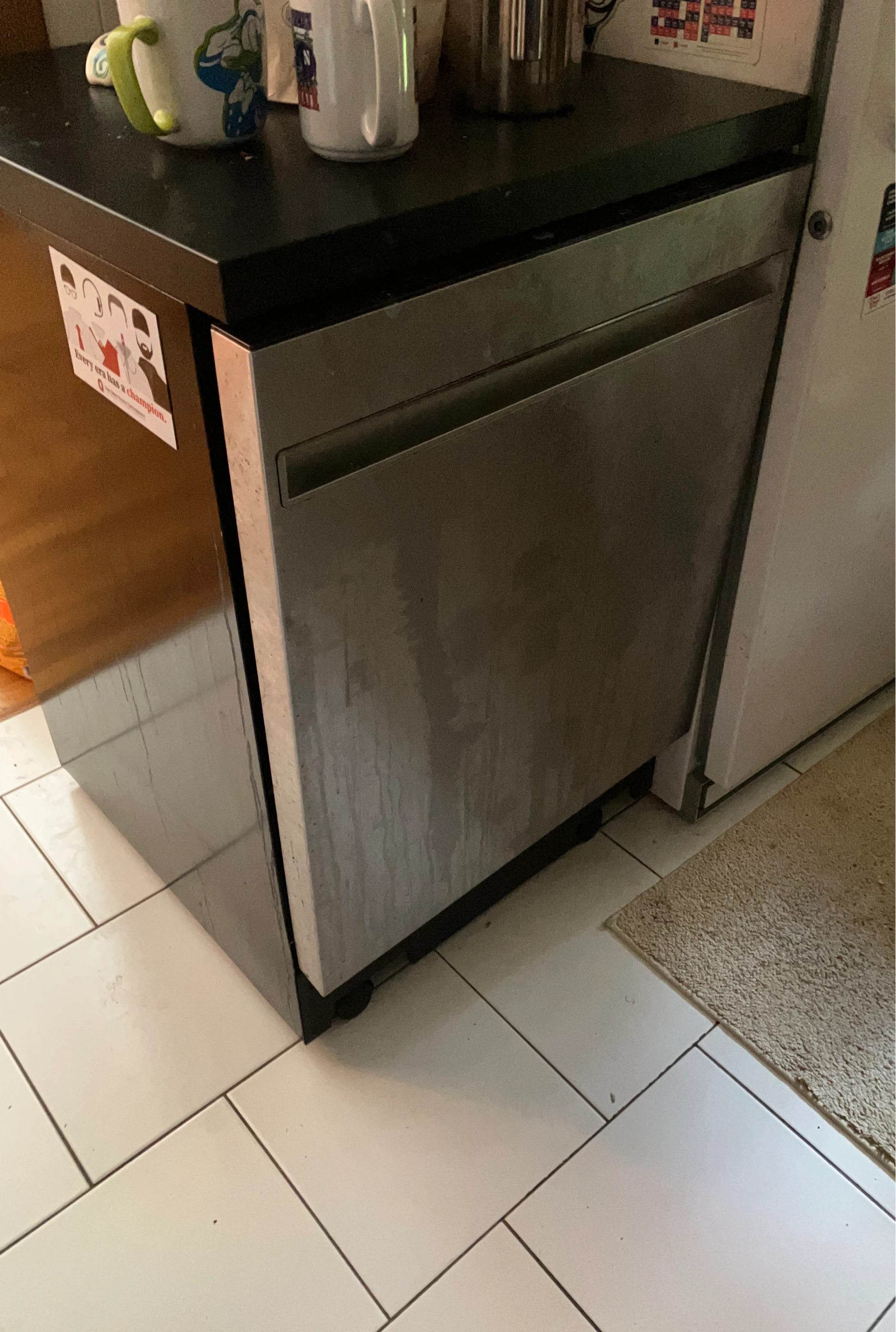 Portable GE Dishwasher