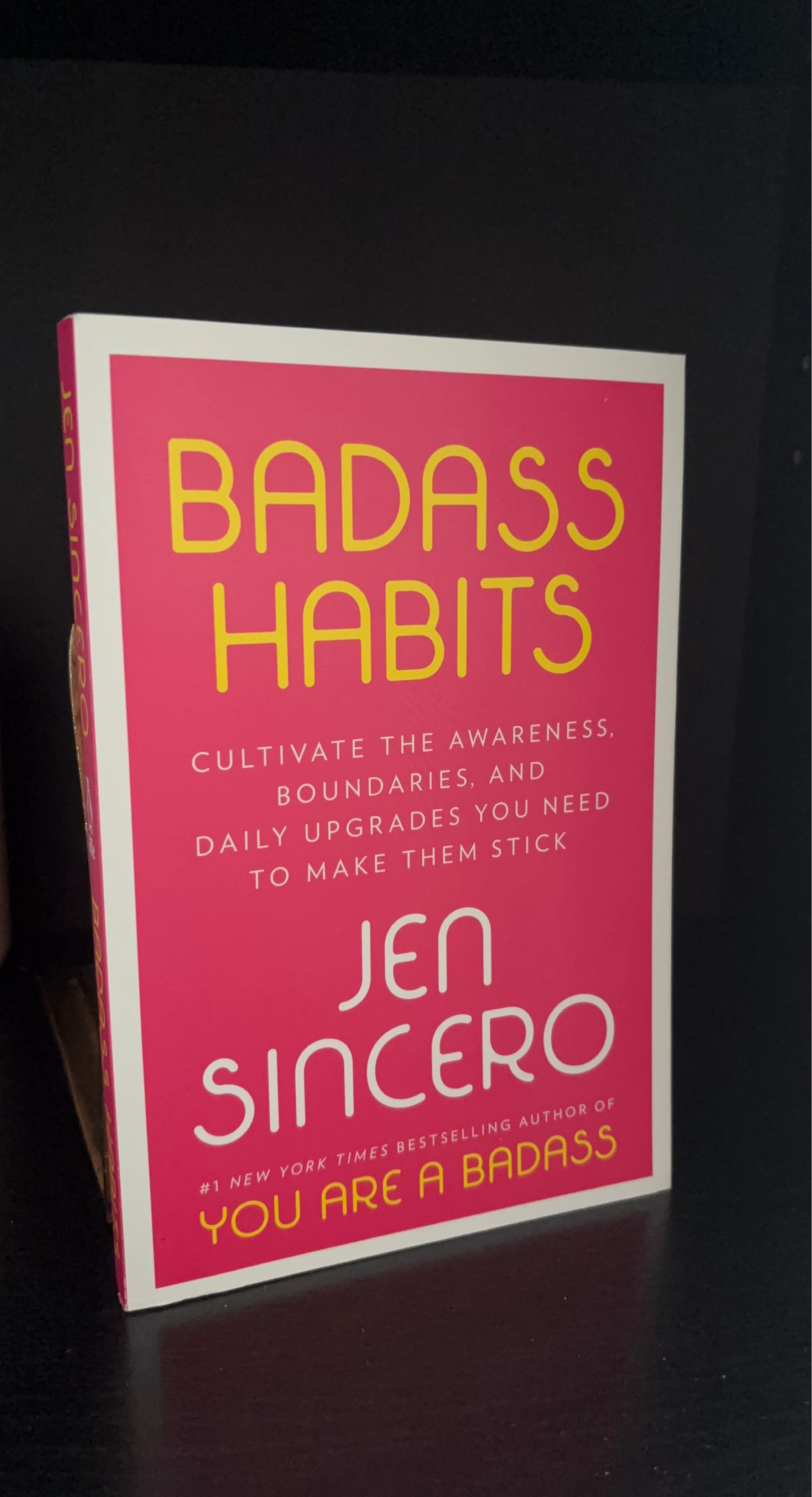 Badass Habits by Jen Sincero Book