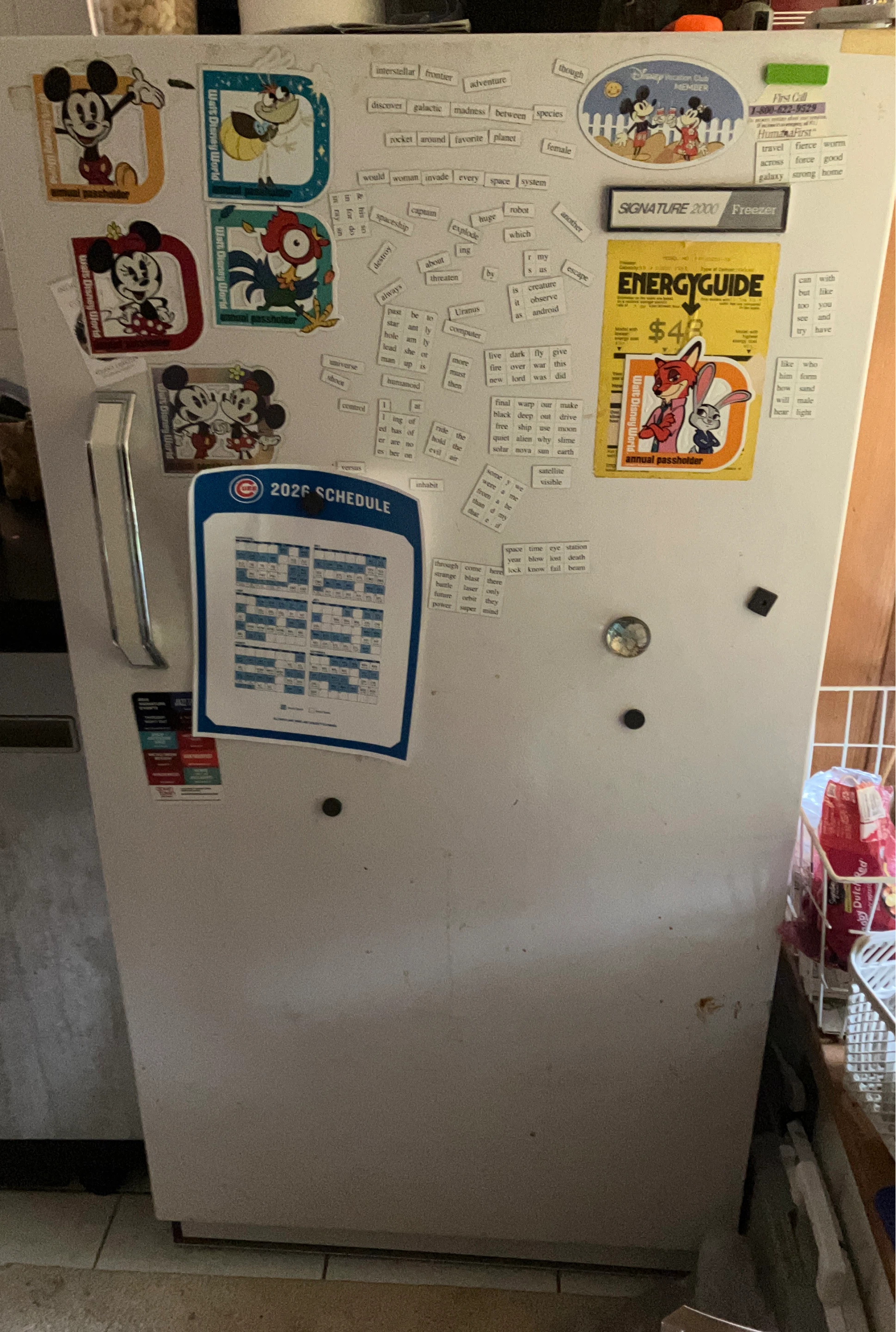 Upright Freezer