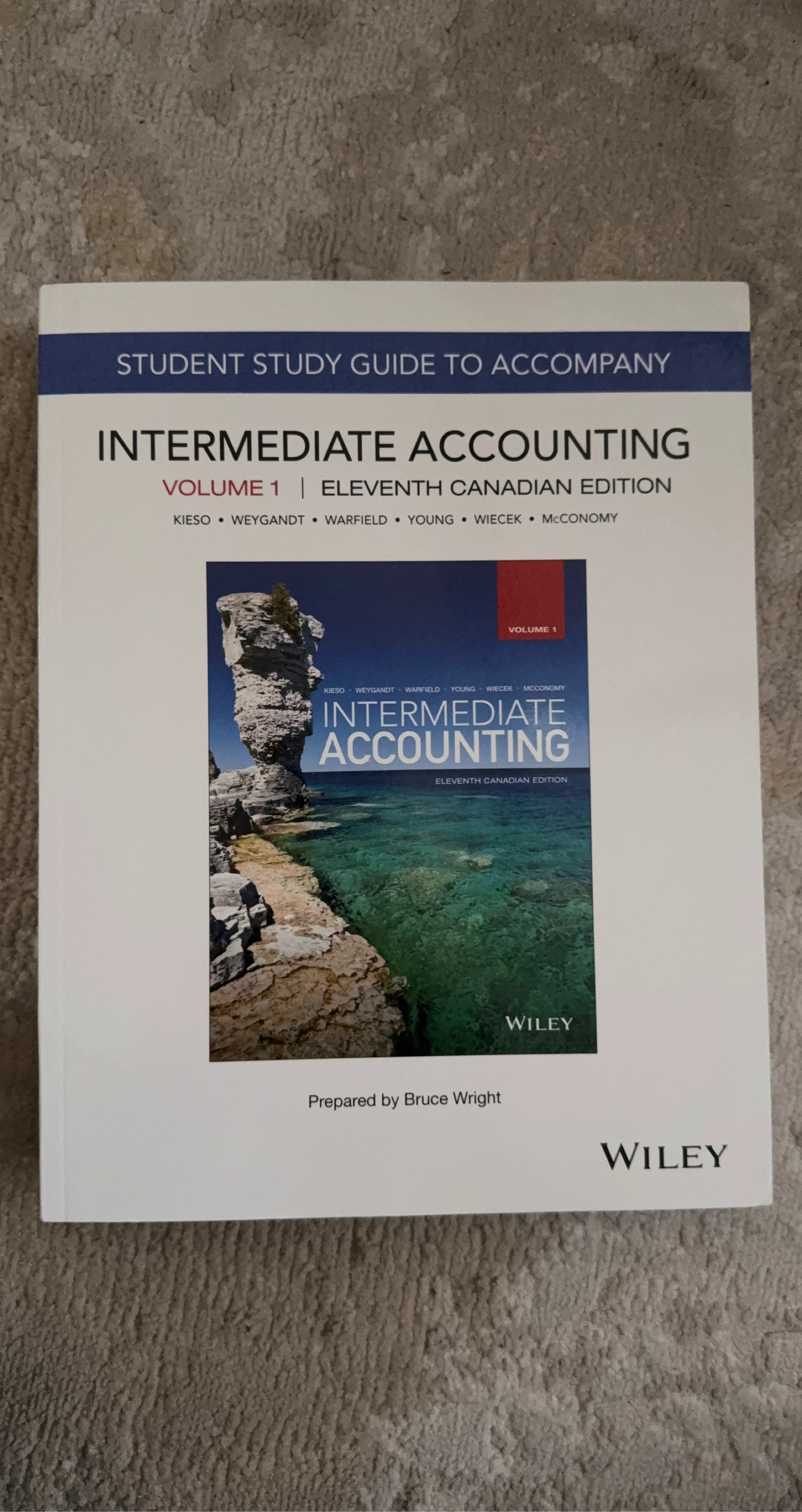 Student Study Guide to Intermediate Accounting Vol 1