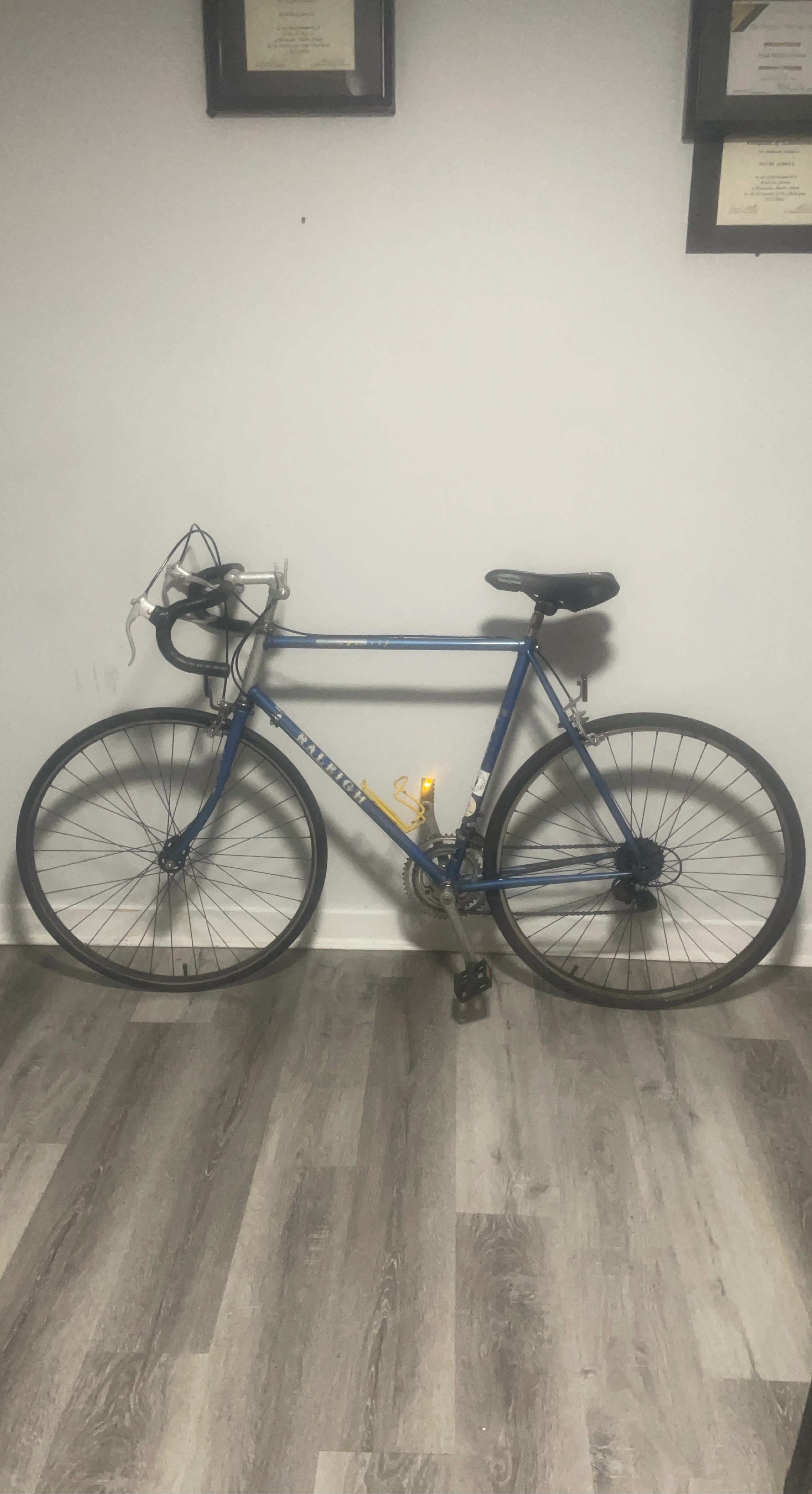 Blue Raleigh Road Bike