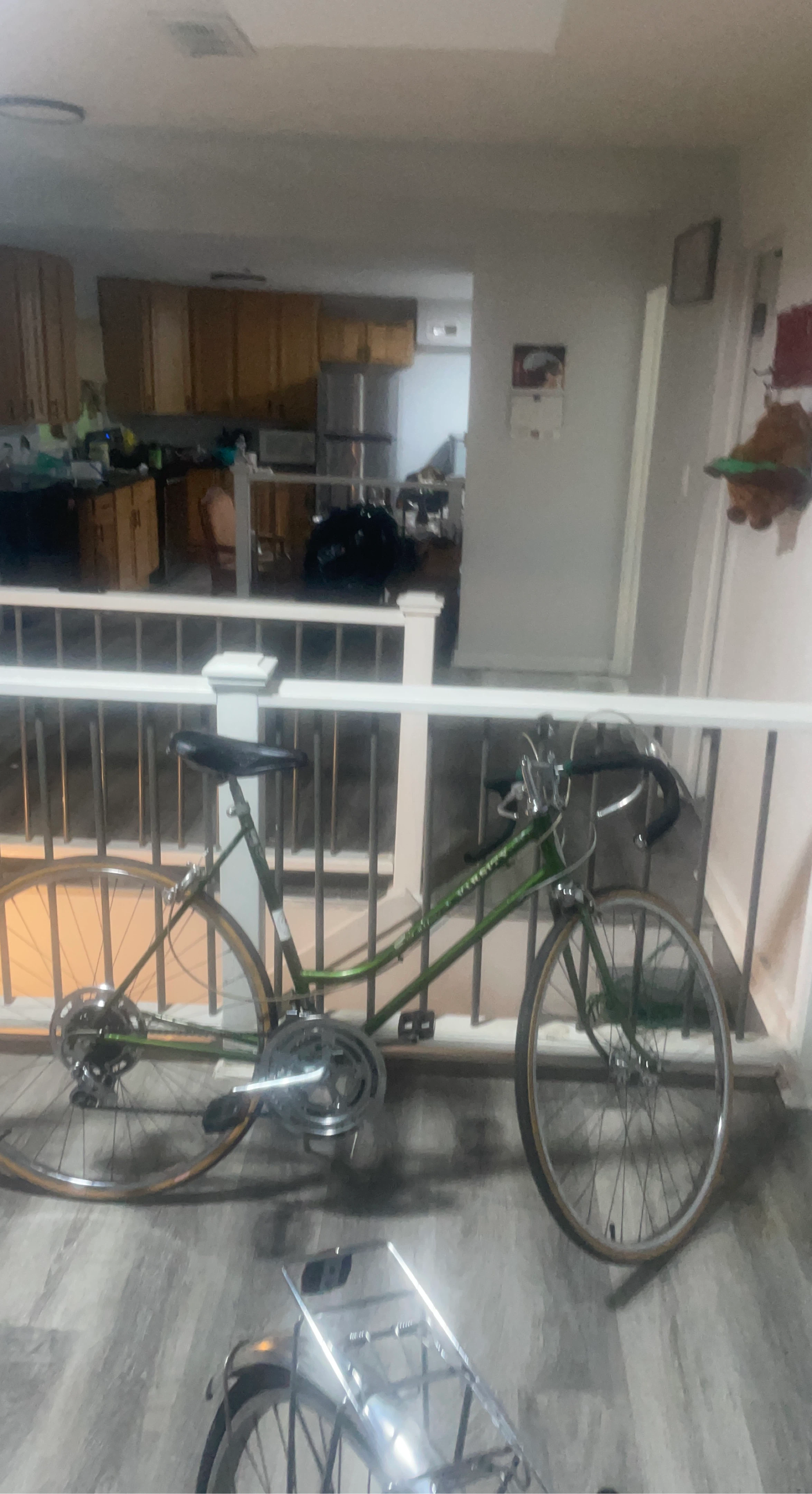 Vintage Green Road Bike
