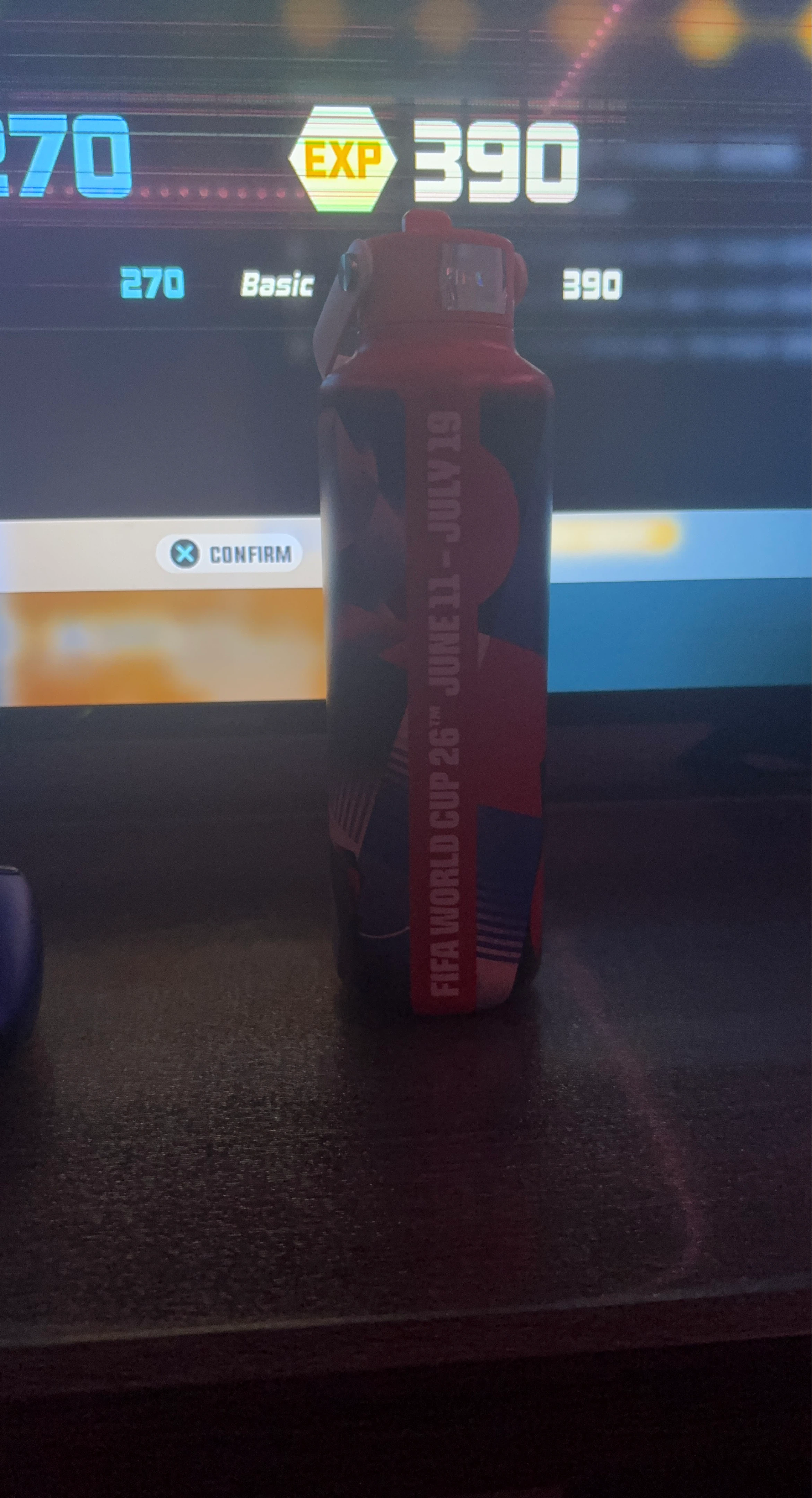 FIFA World Cup Water Bottle