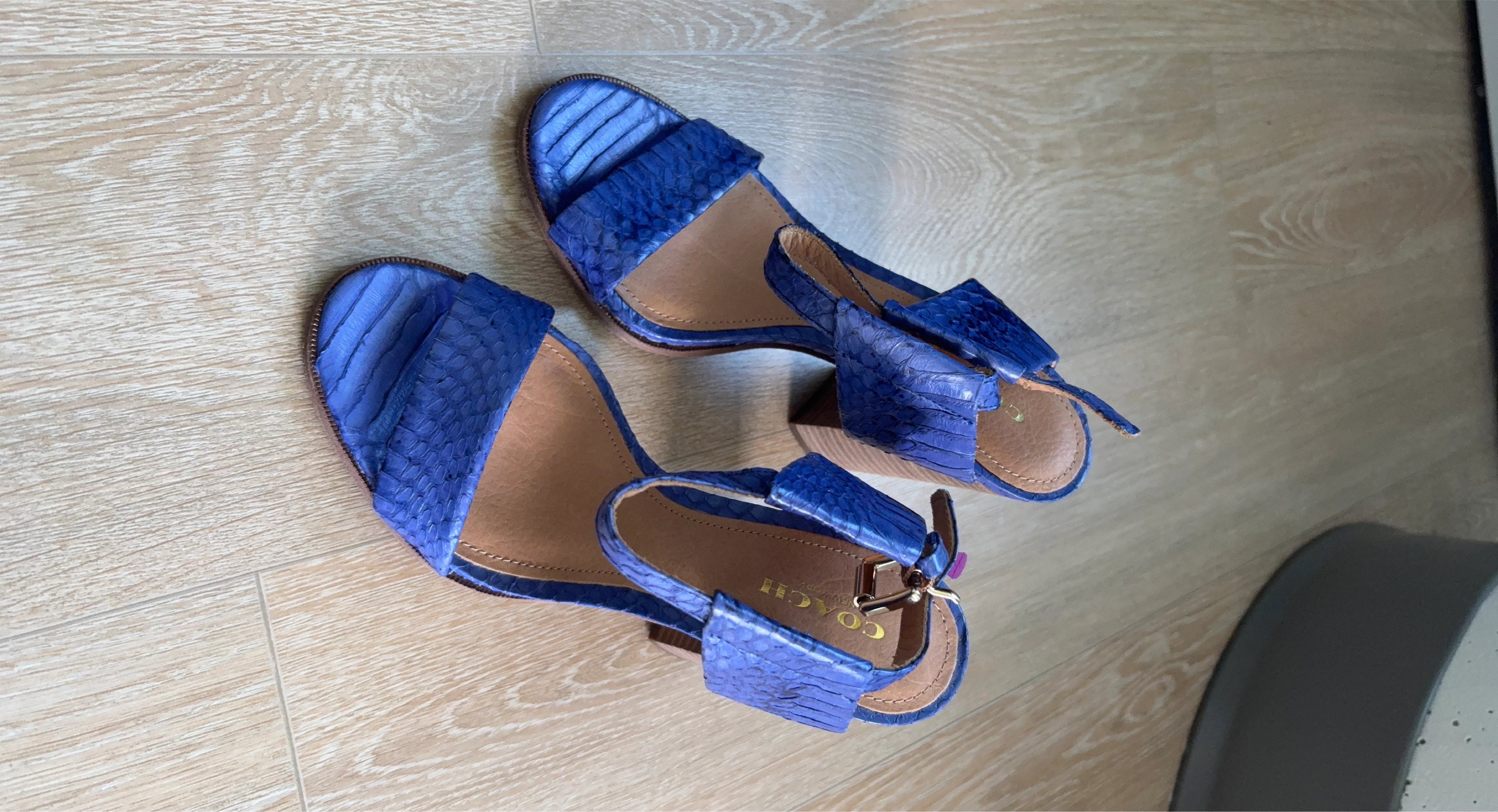 Coach Blue Snakeskin Sandals