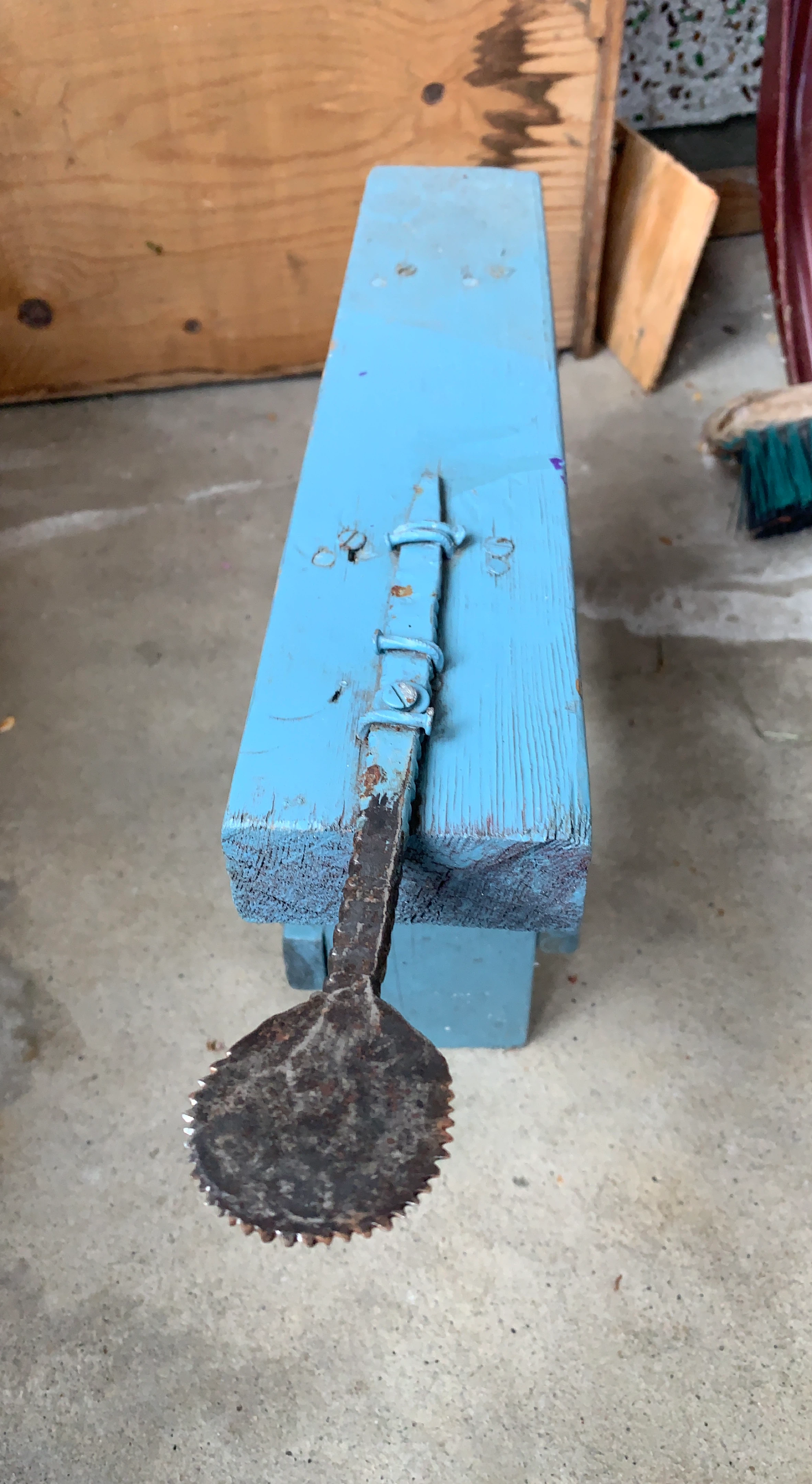 Coconut Scraper Tool
