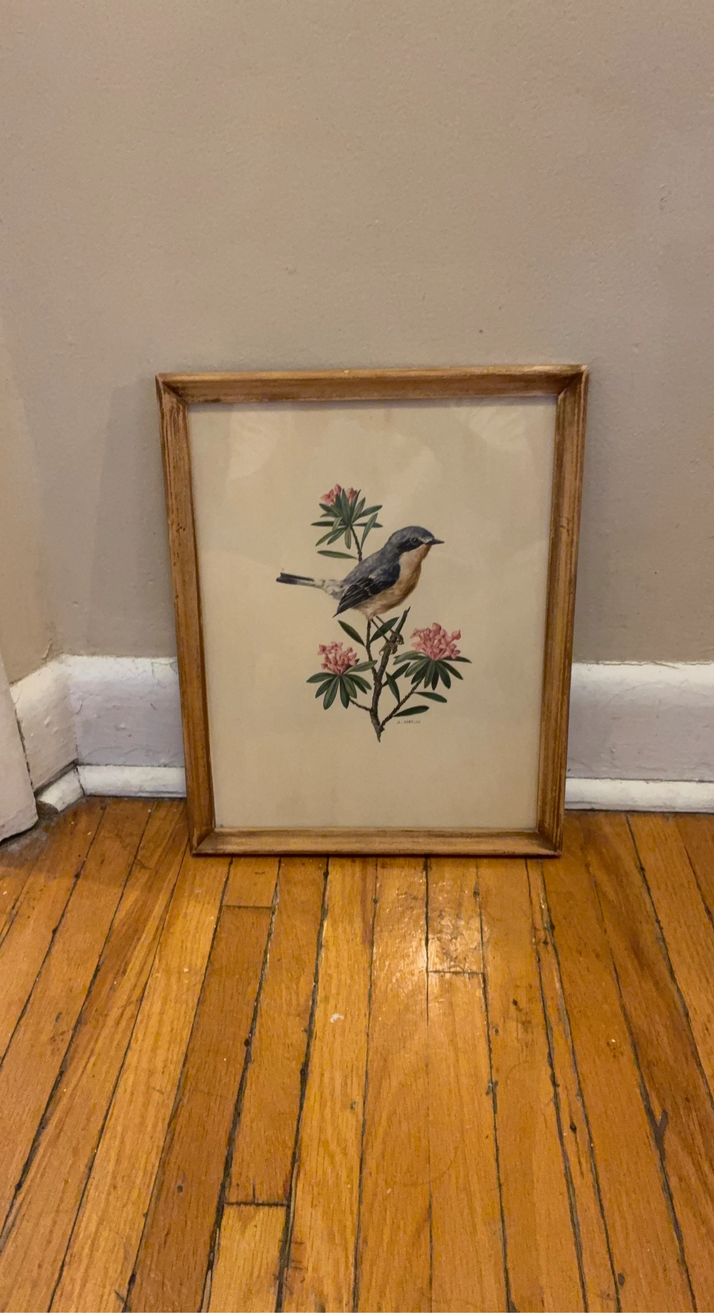 Framed Bird and Flower Print by A. Marlin