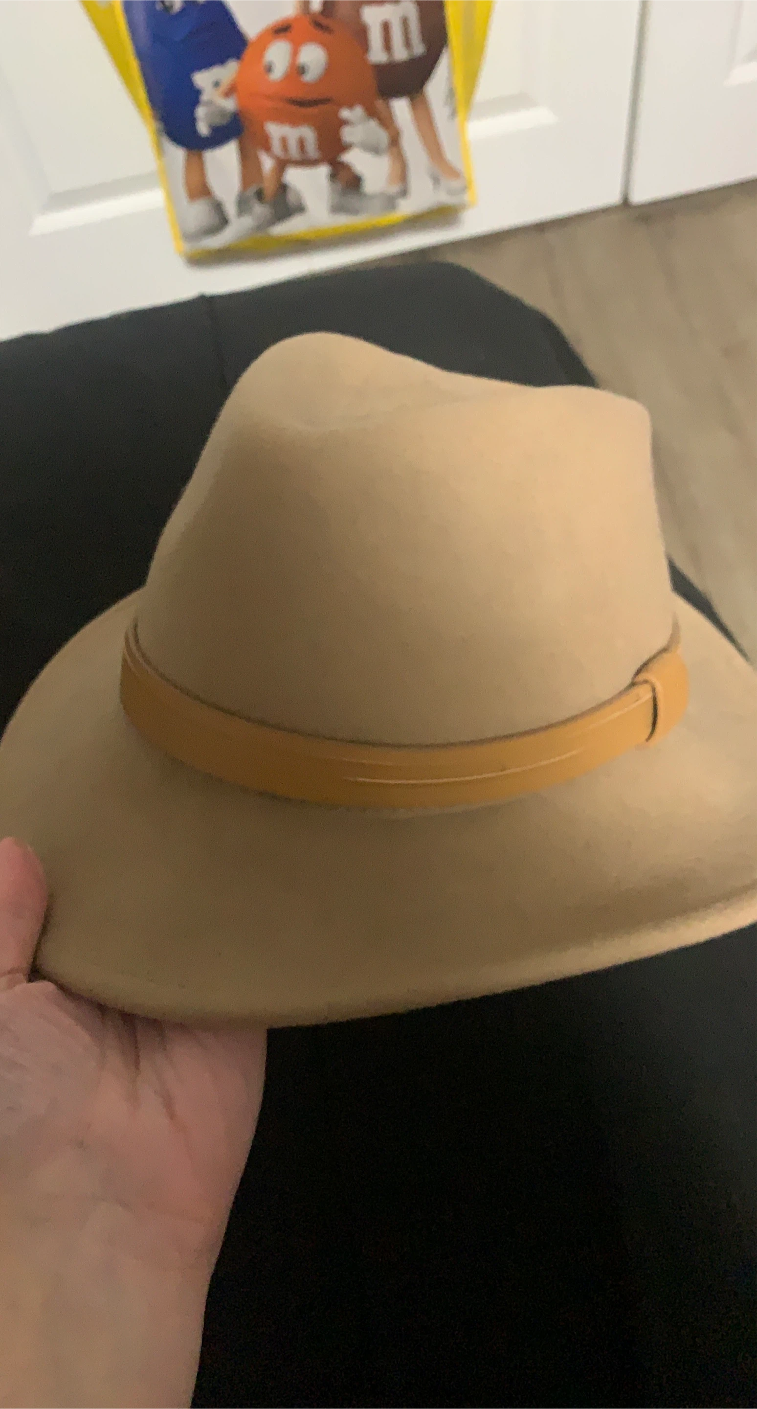 $10 Zara hat
