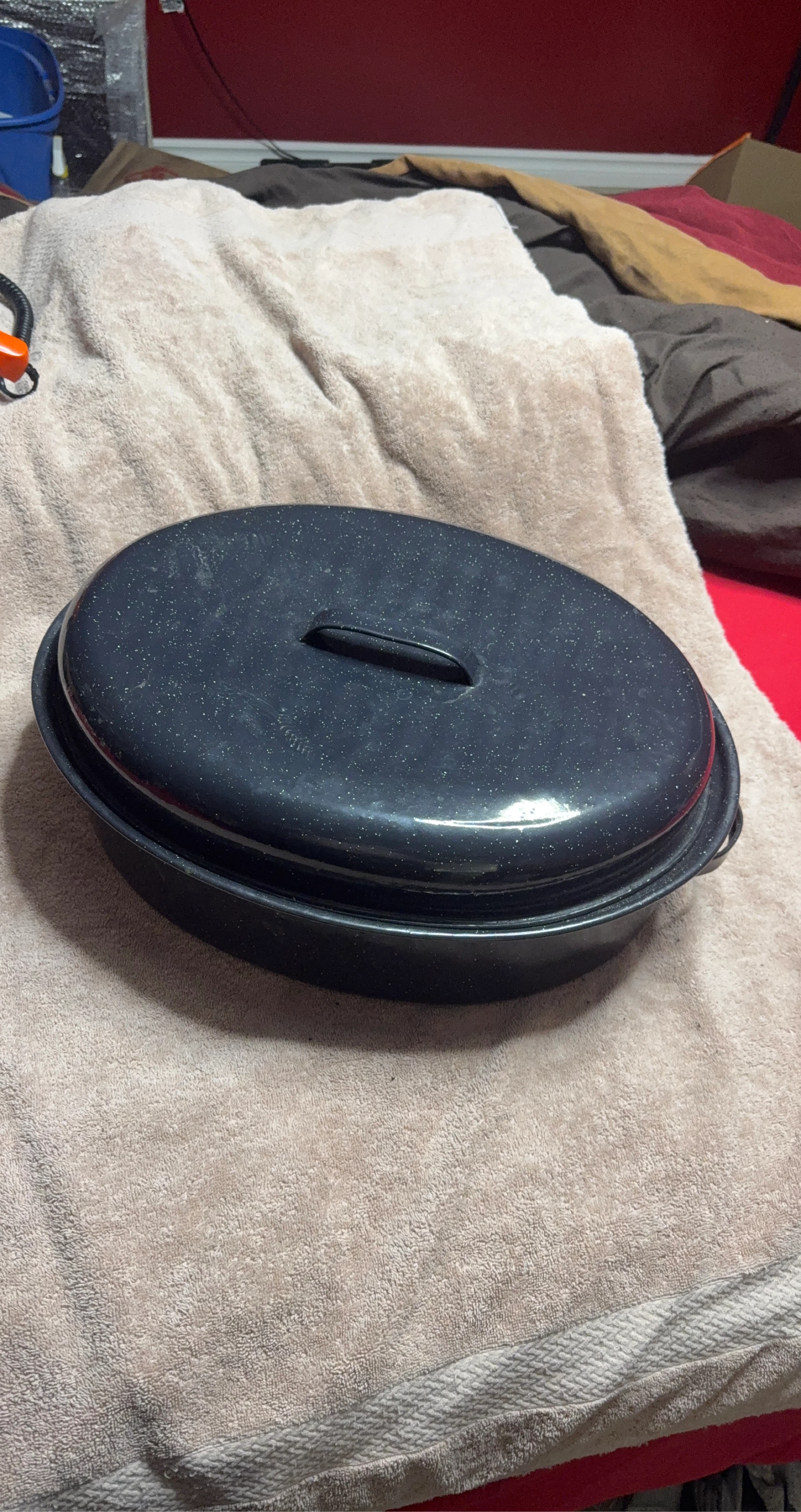 Oval Roasting Pan with Lid