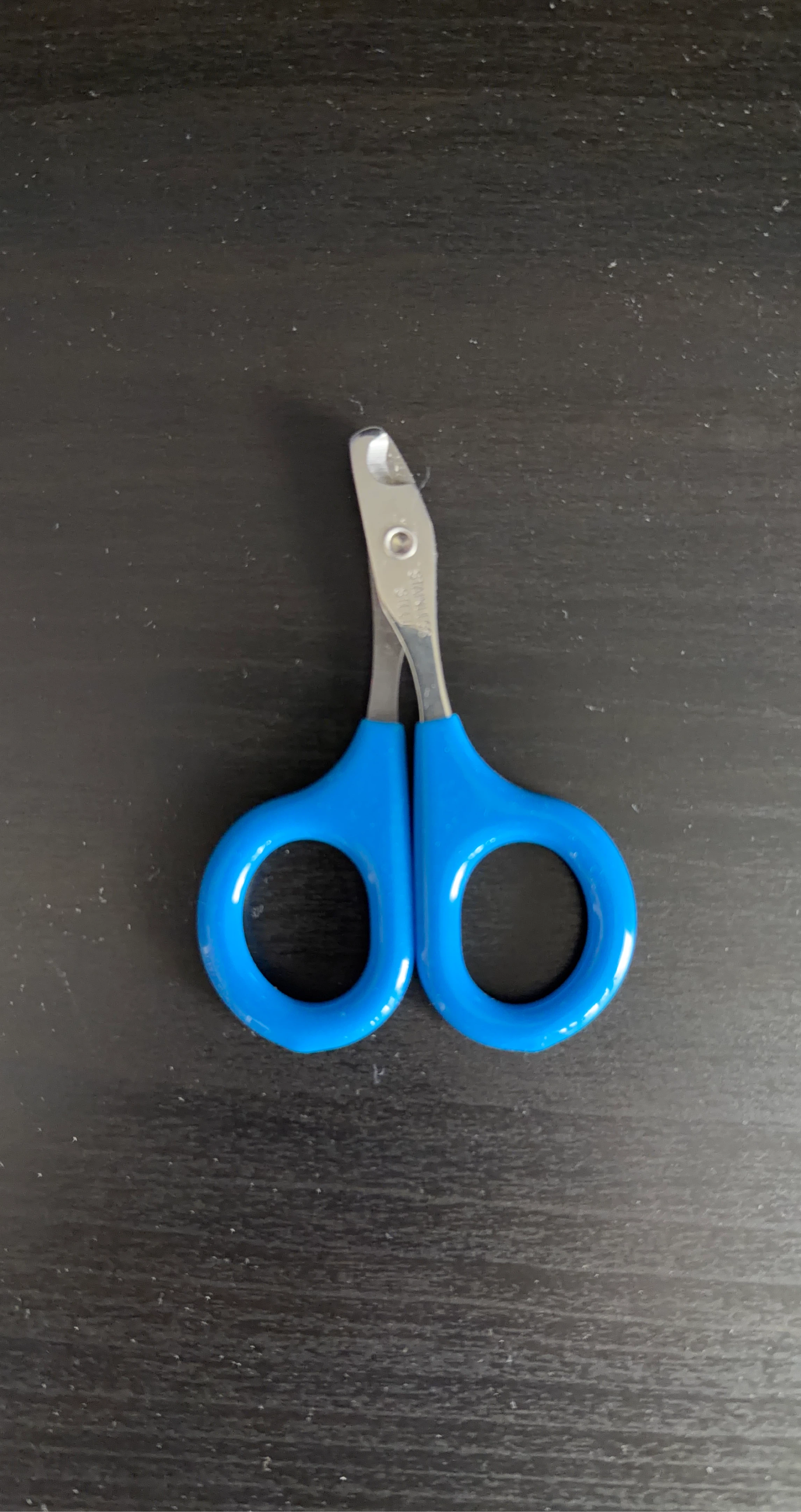 Kitten - Small Blue Pet Nail Clippers